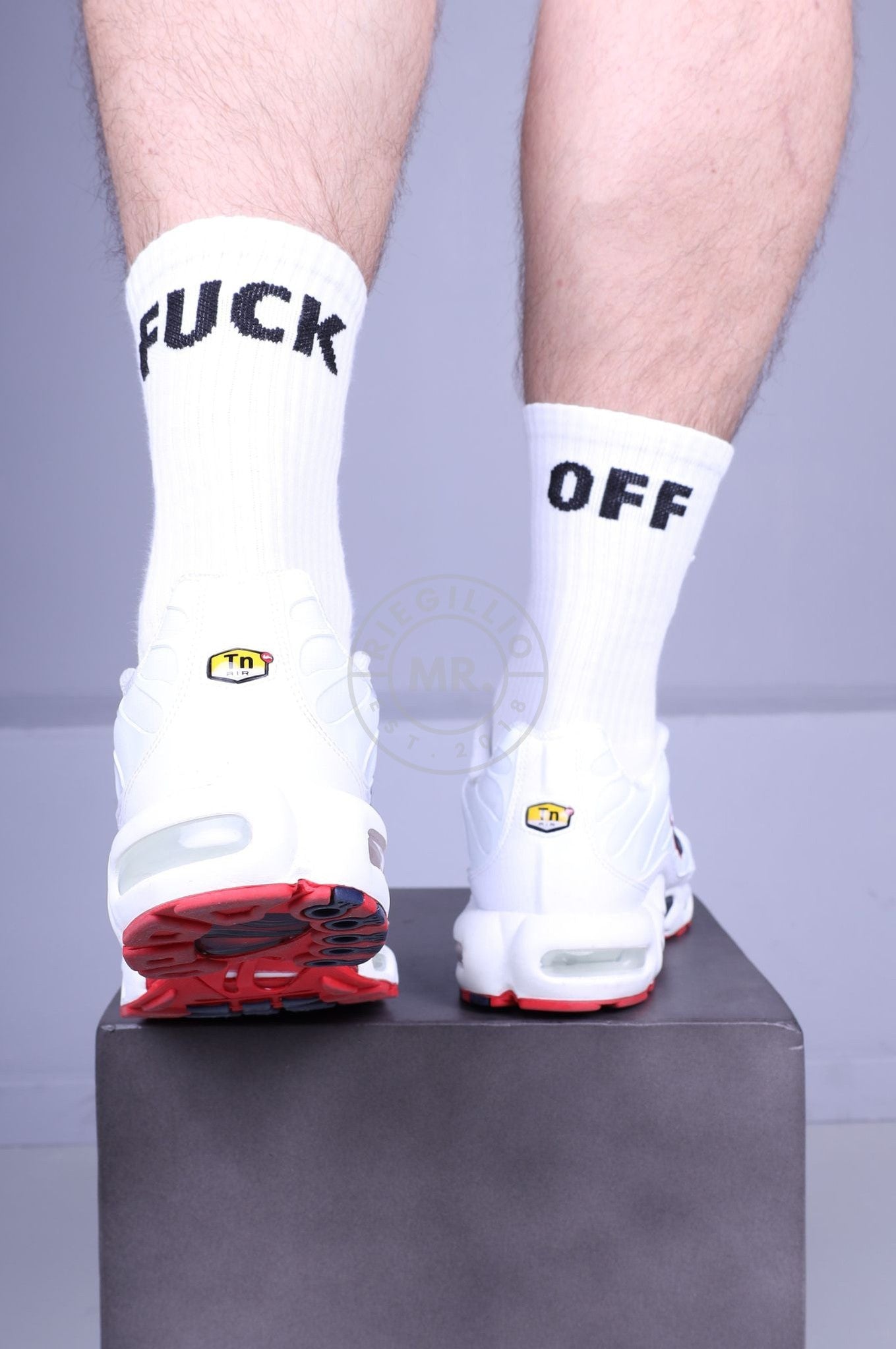 SNKRFTSH Socks - FUCK OFF at MR. Riegillio