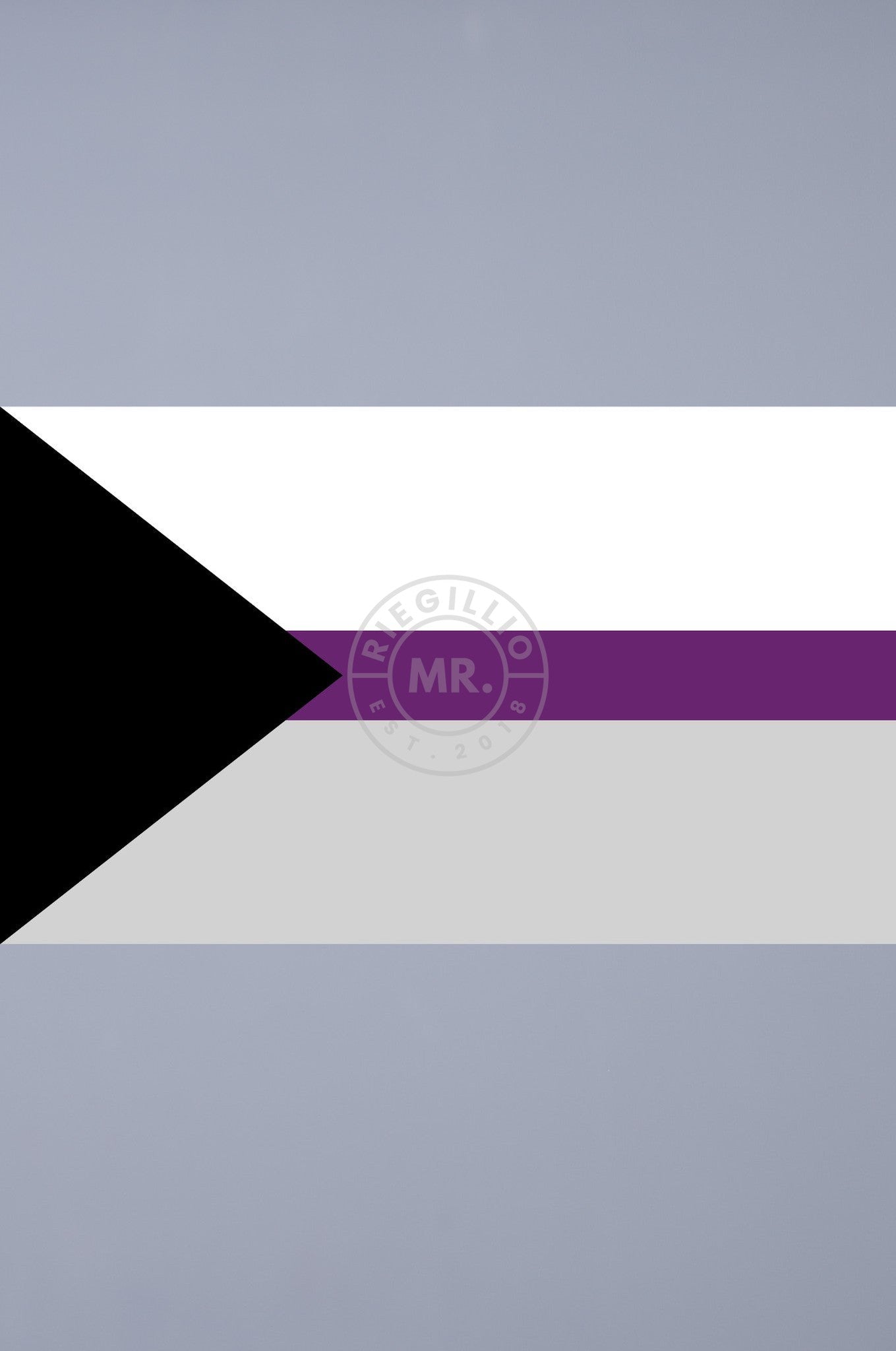 Pride Flag - Demisexual - 90 x 150 cm at MR. Riegillio
