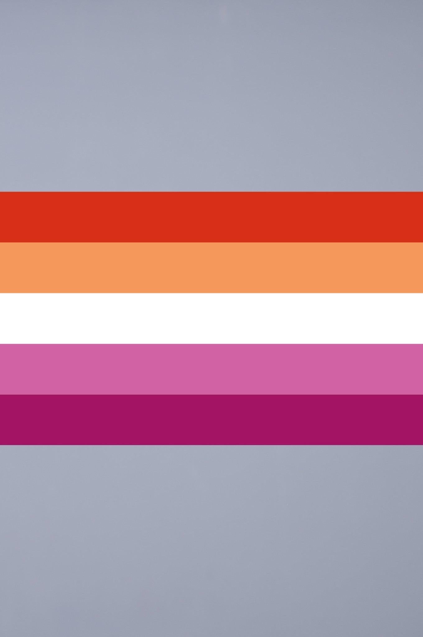Pride Flag - Lesbian - 90 x 150 cm at MR. Riegillio