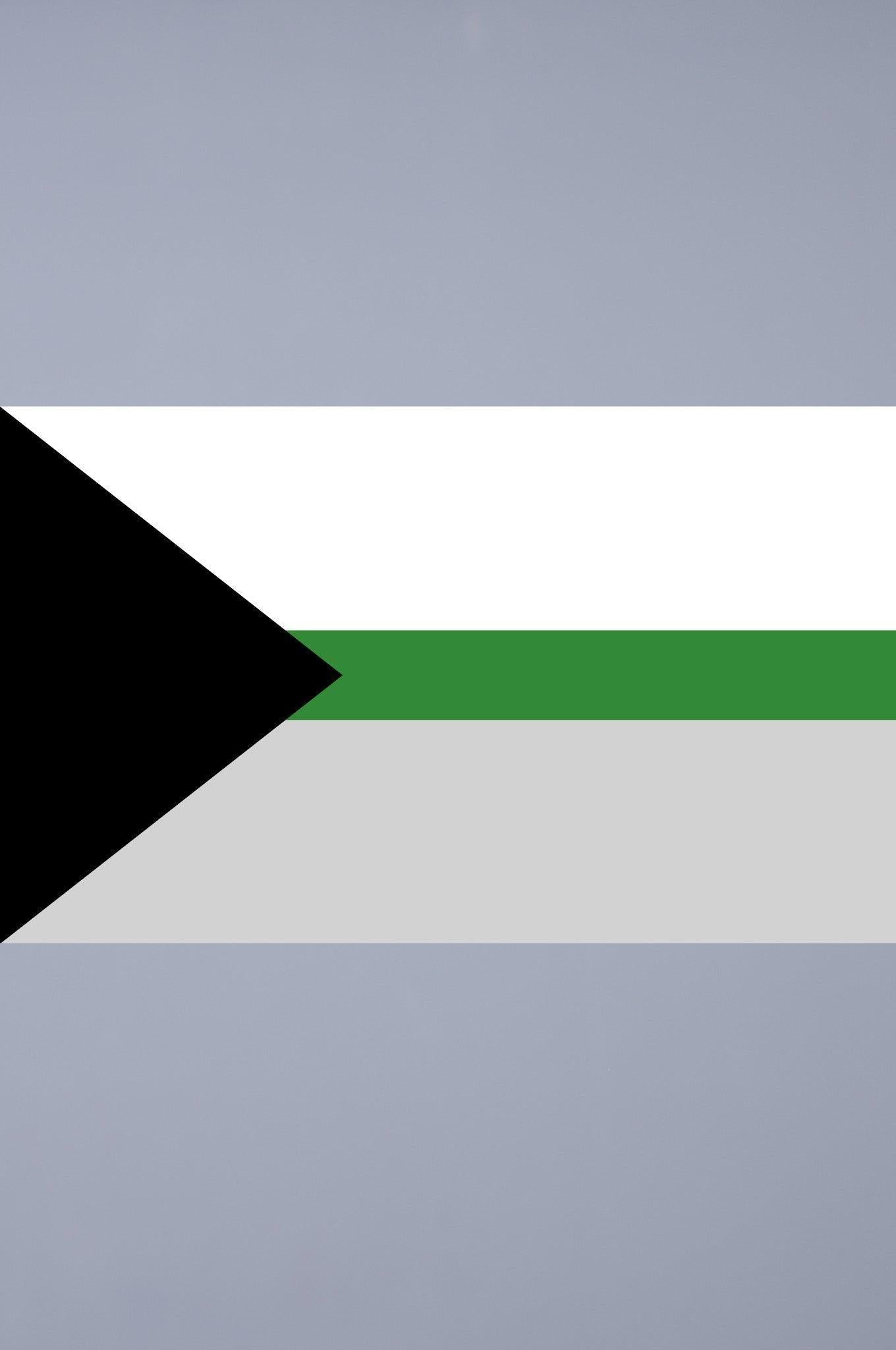 Pride Flag - Demiromantic - 90 x 150 cm at MR. Riegillio