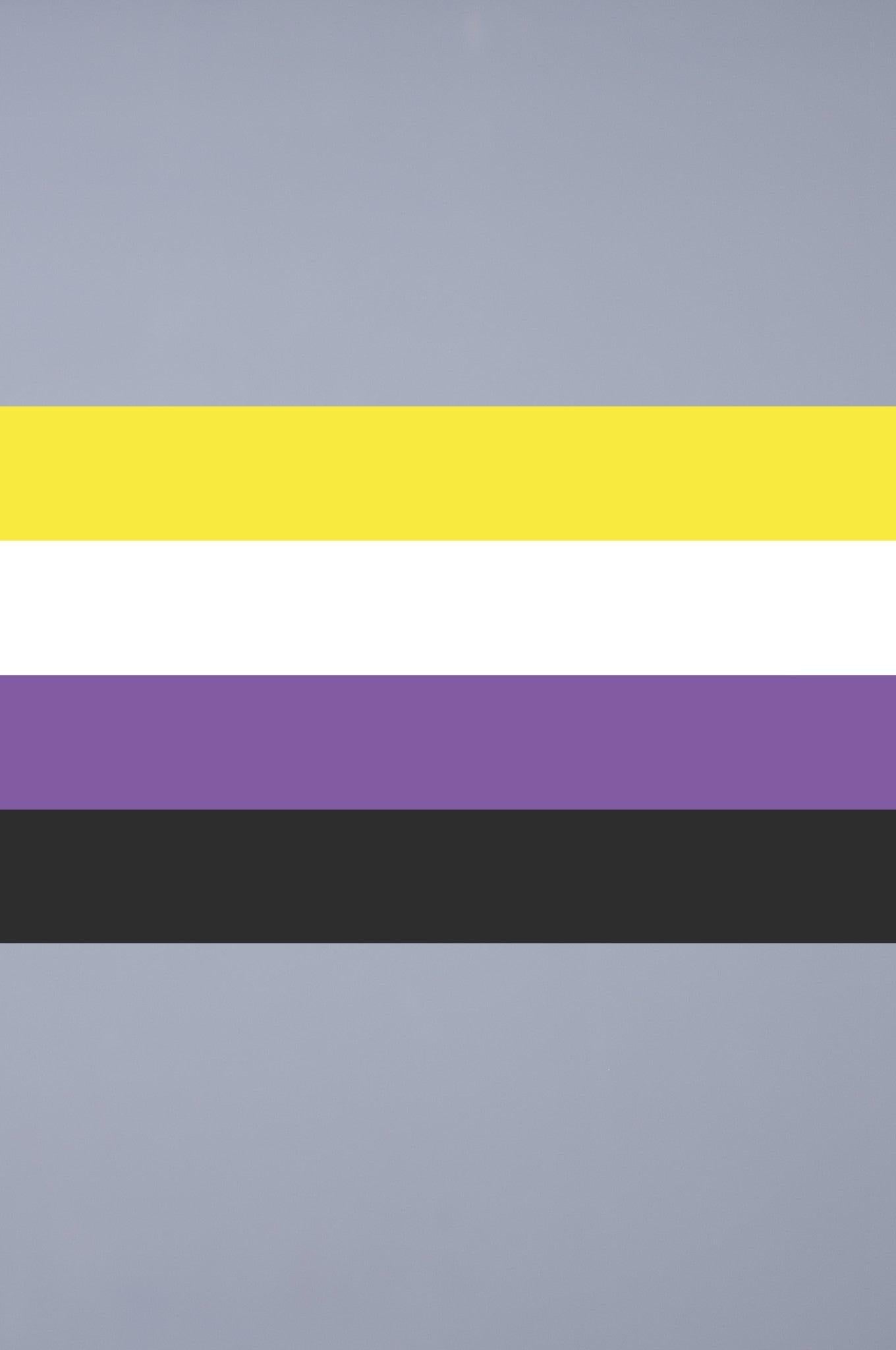 Pride Flag - Non-Binary - 90 x 150 cm at MR. Riegillio