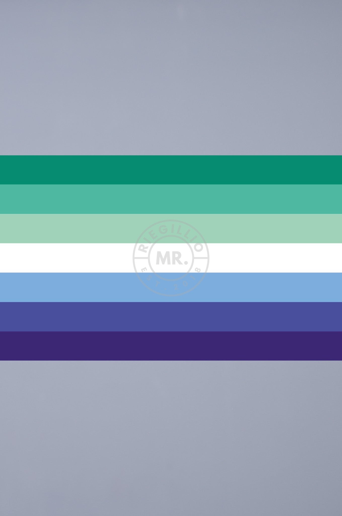 Pride Flag - Trans Inclusive Gay Men - 90 x 150 cm at MR. Riegillio