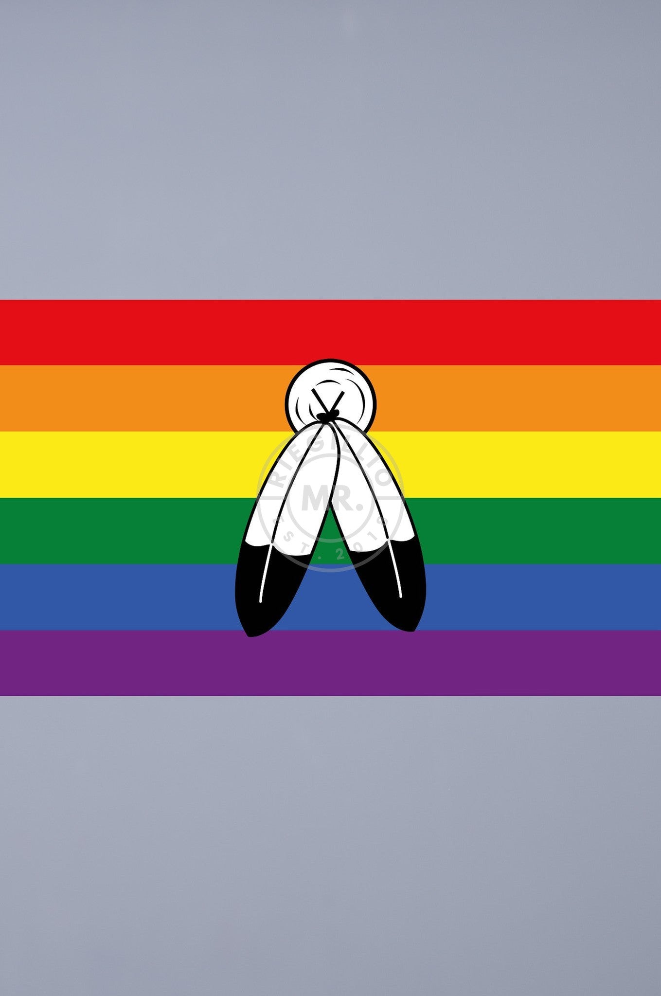 Pride Flag - Two-Spirits - 90 x 150 cm at MR. Riegillio