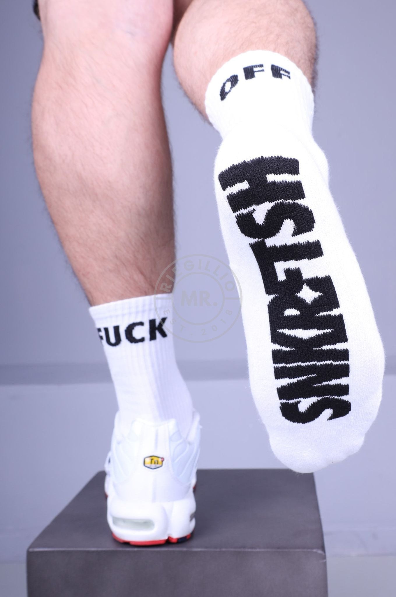 SNKRFTSH Socks - FUCK OFF at MR. Riegillio