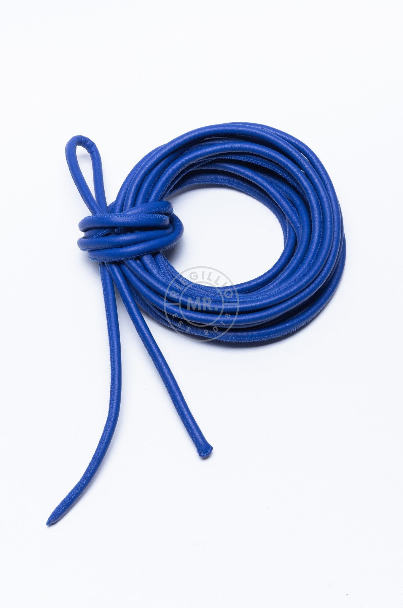 SIRAINER Blue Leather Shibari Rope at MR. Riegillio