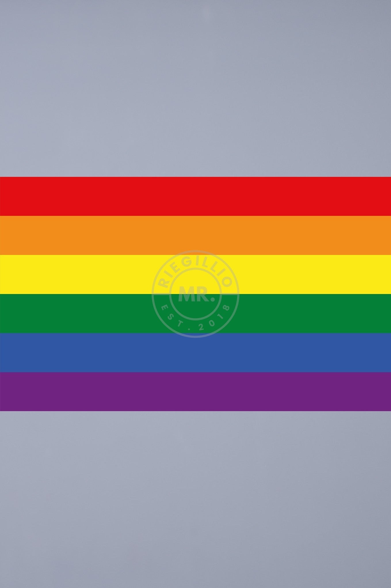 Pride Flag - Rainbow - 90 x 150 cm at MR. Riegillio