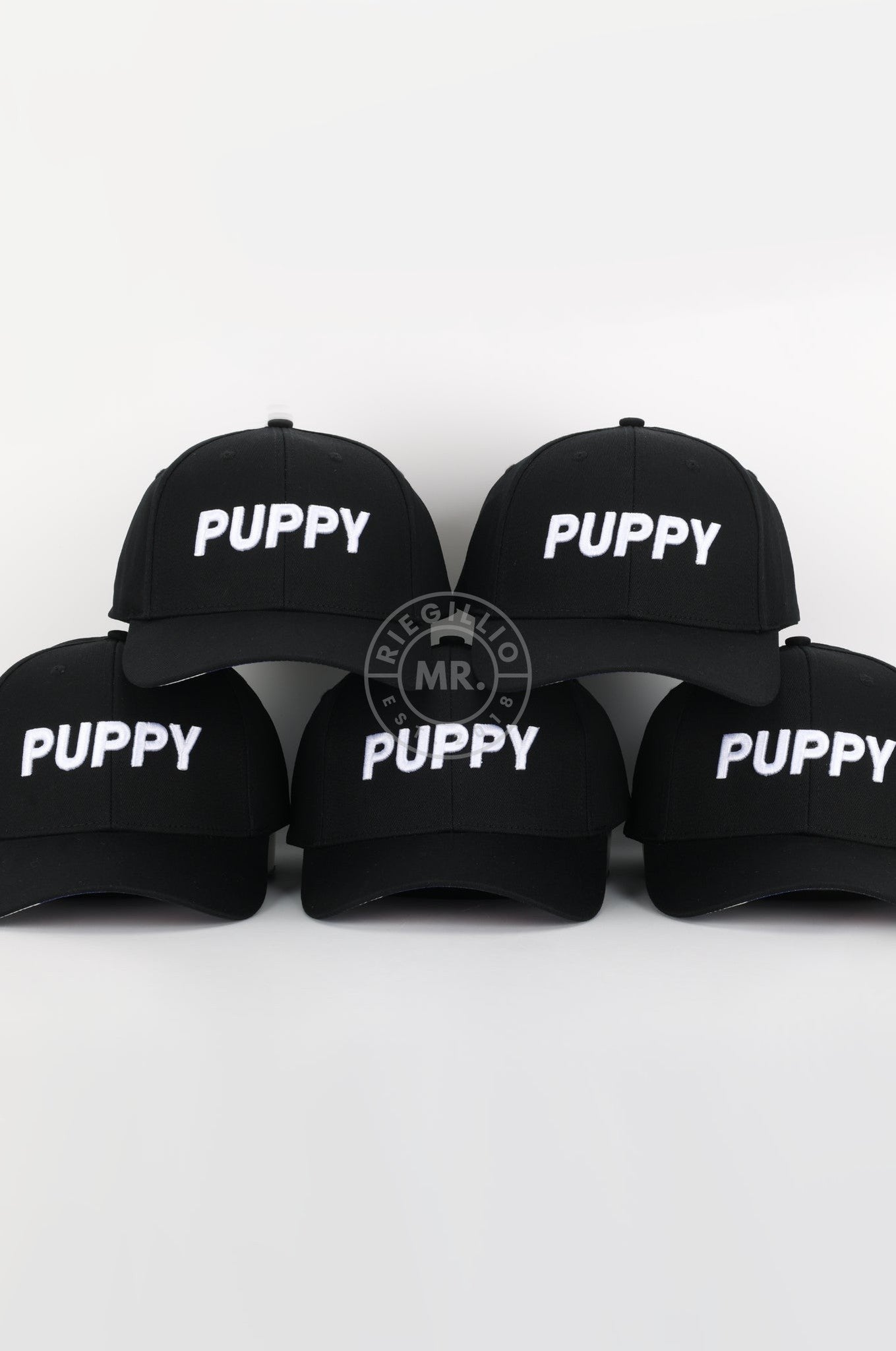 Puppy Pride Cap at MR. Riegillio