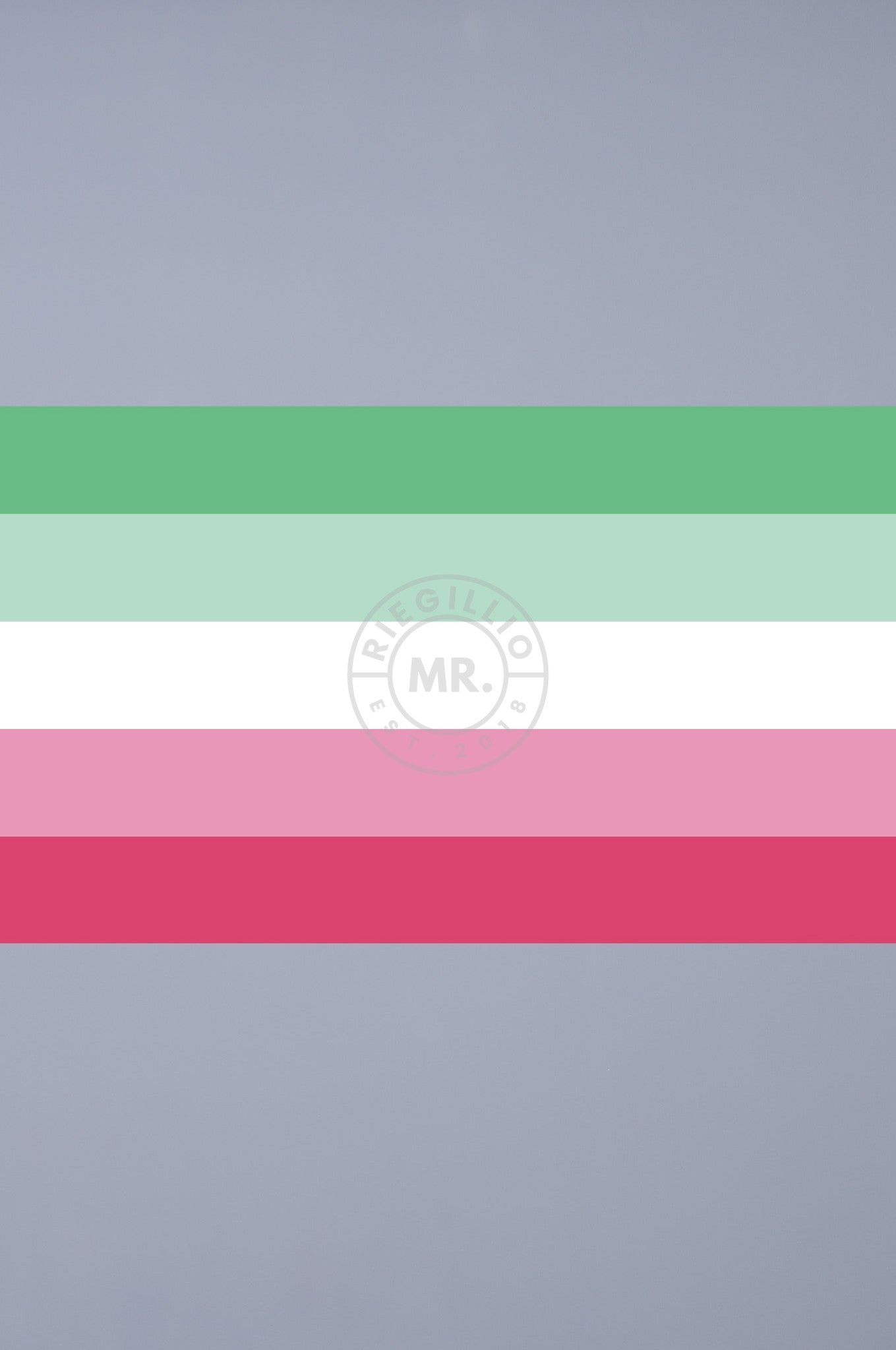Pride Flag - Abrosexual - 90 x 150 cm at MR. Riegillio