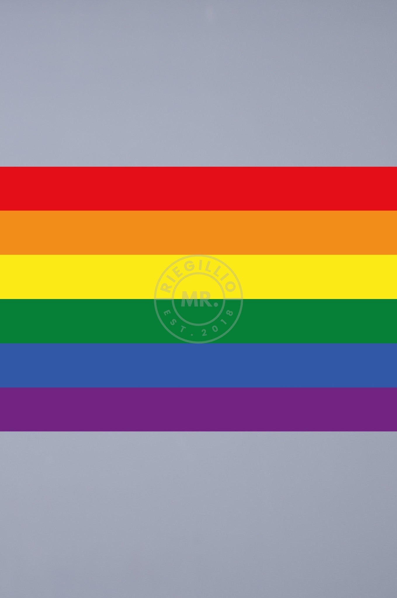 Pride Flag - Rainbow - 120 x 180 cm at MR. Riegillio