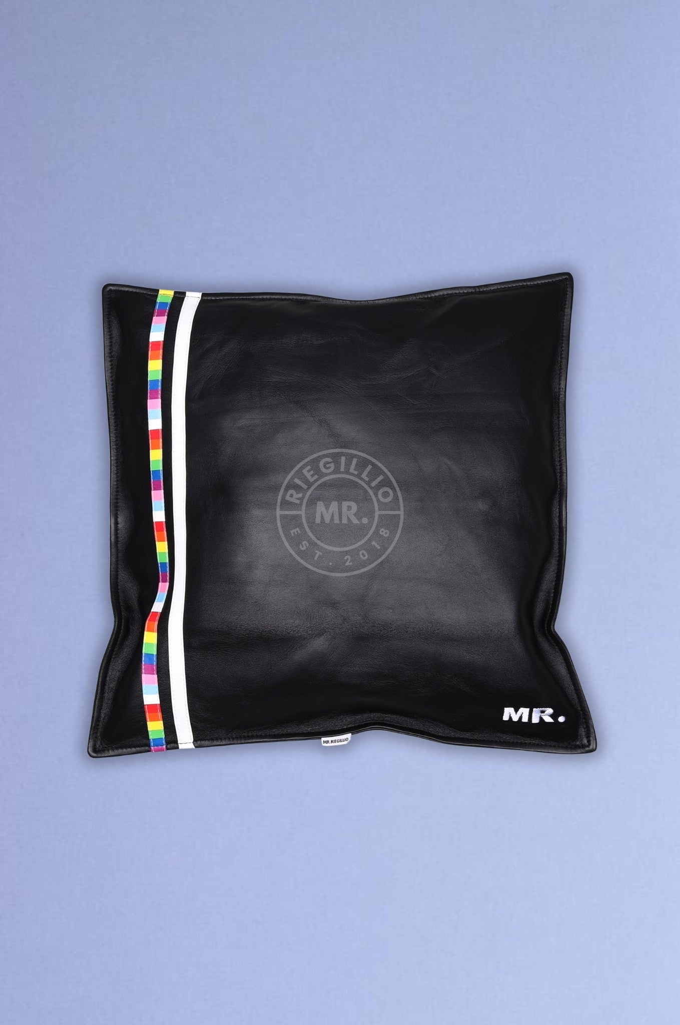 Black Leather Pillow - Pride Stripe at MR. Riegillio