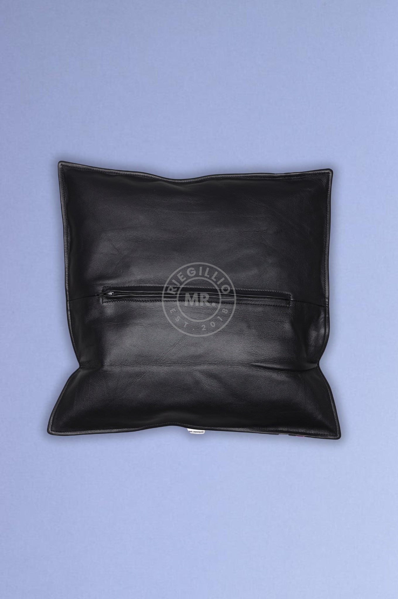 Black Leather Pillow - Pride Stripe at MR. Riegillio