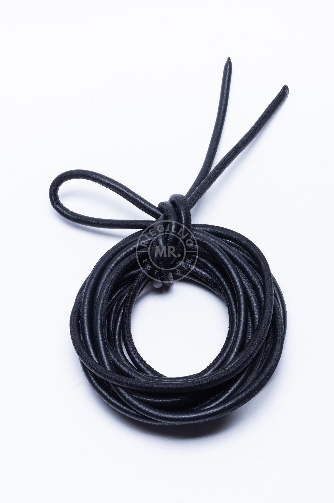 SIRAINER Black Leather Shibari Rope at MR. Riegillio