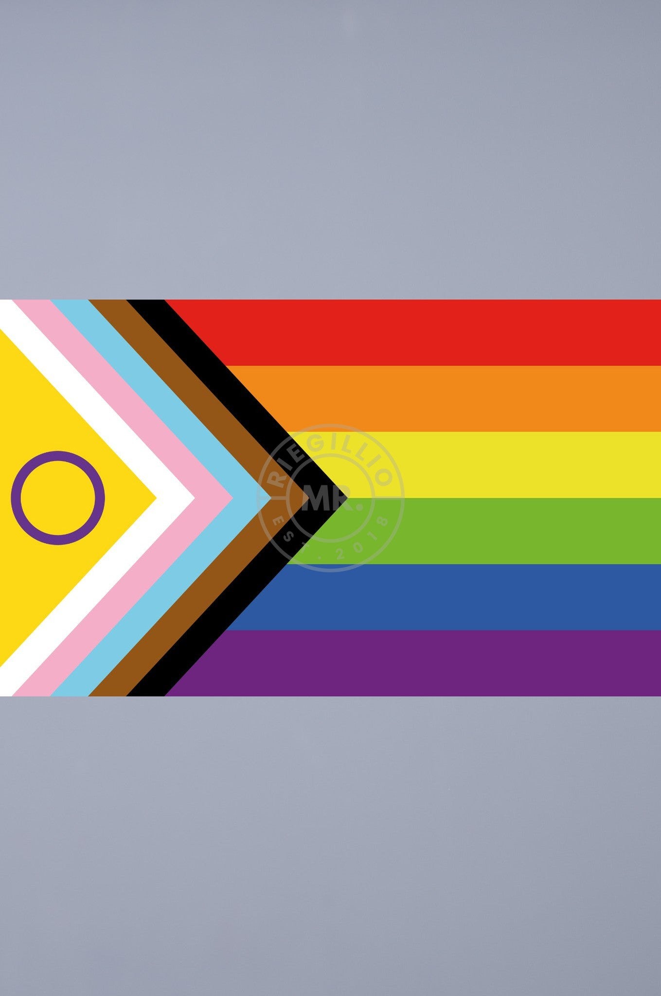 Pride Flag - Intersex-Inclusive - 90 x 150 cm - M at MR. Riegillio