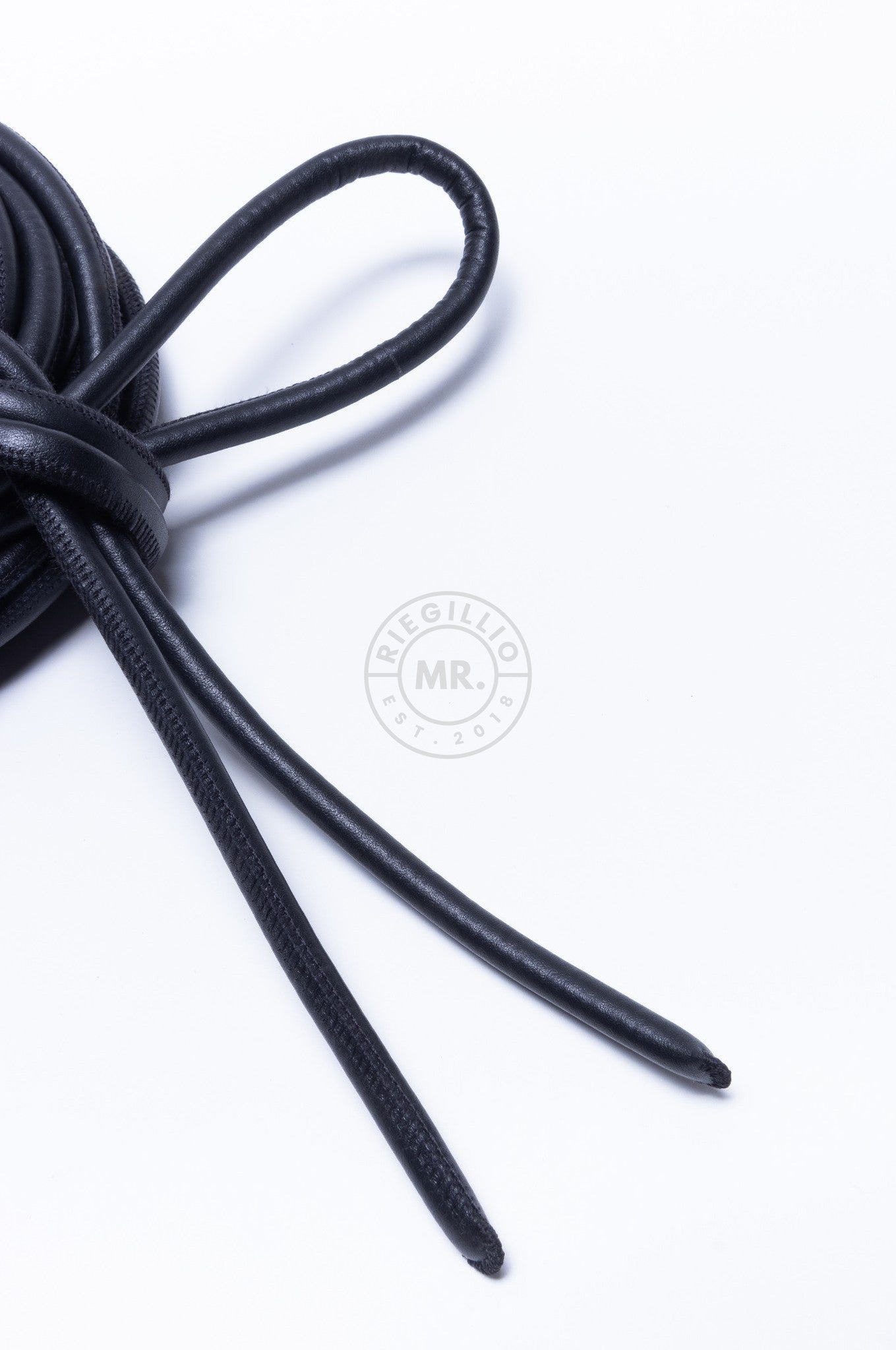 SIRAINER Black Leather Shibari Rope at MR. Riegillio