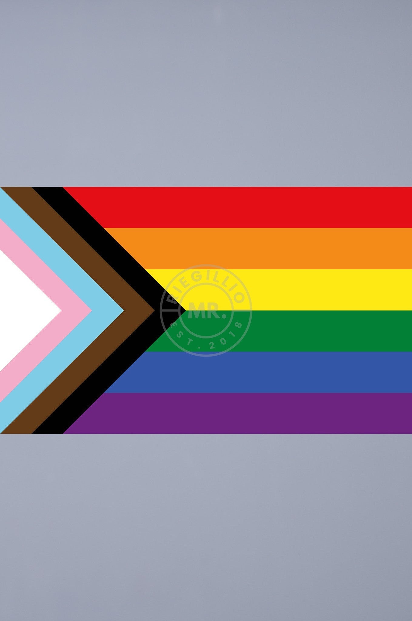 Pride Flag - Progress - 90 x 150 cm at MR. Riegillio