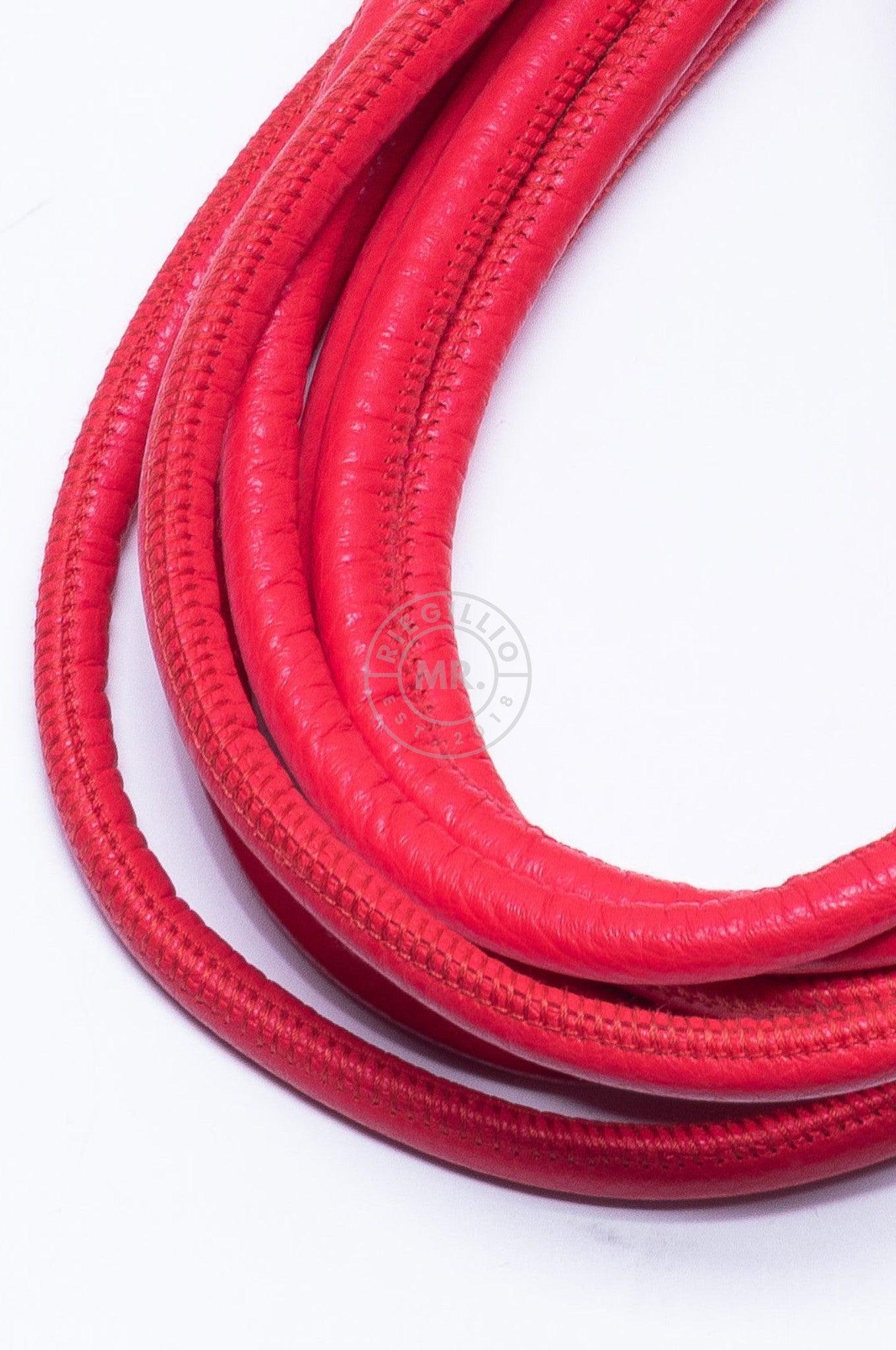 SIRAINER Red Leather Shibari Rope at MR. Riegillio