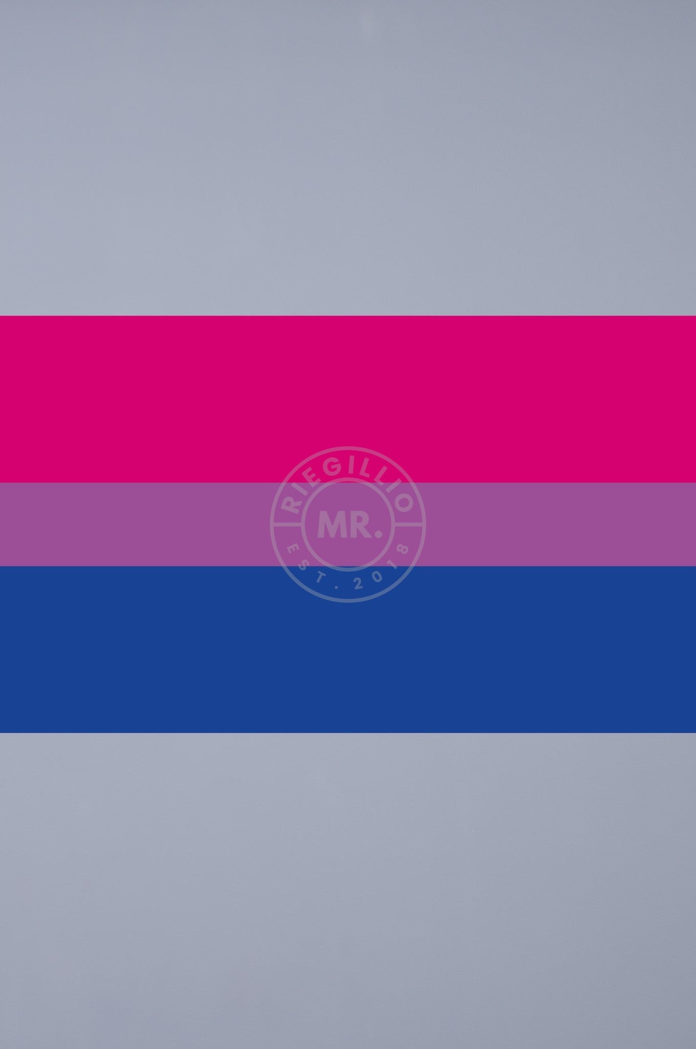 Pride Flag - Bisexual - 90 x 150 cm at MR. Riegillio
