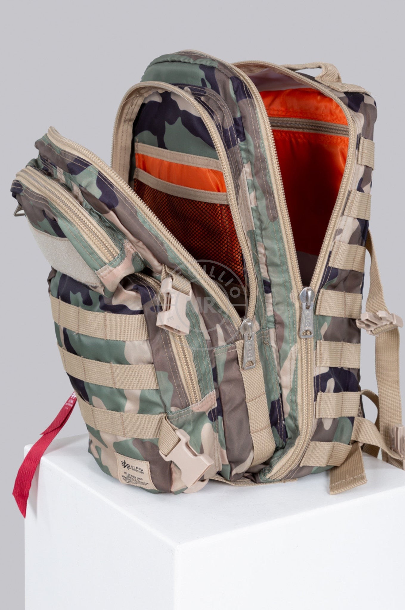 Alpha Industries Tactical Backpack - WDL Camo at MR. Riegillio