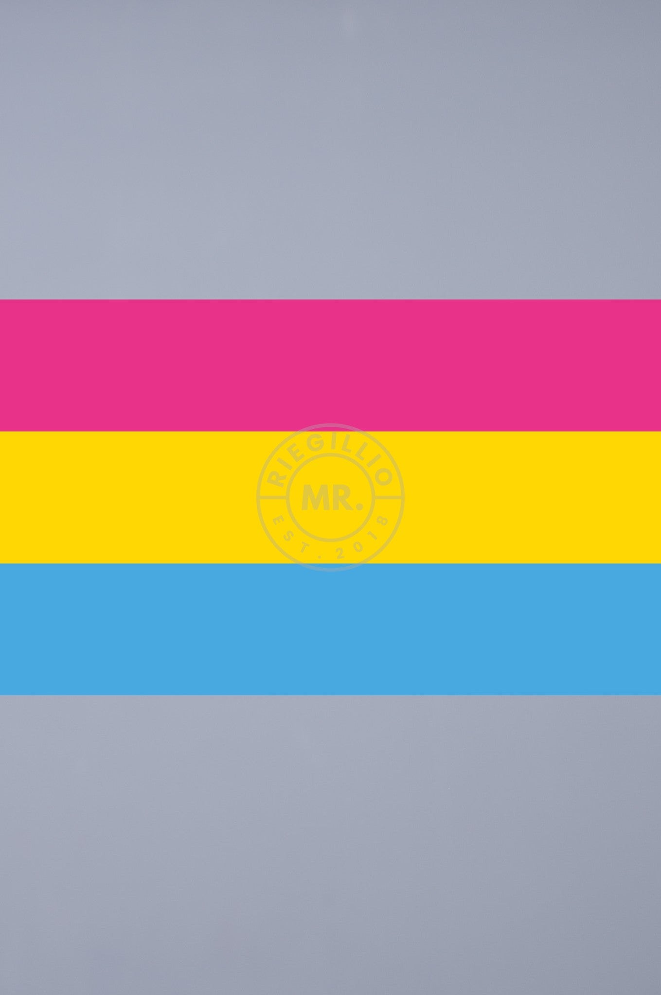 Pride Flag - Pansexual - 90 x 150 cm at MR. Riegillio