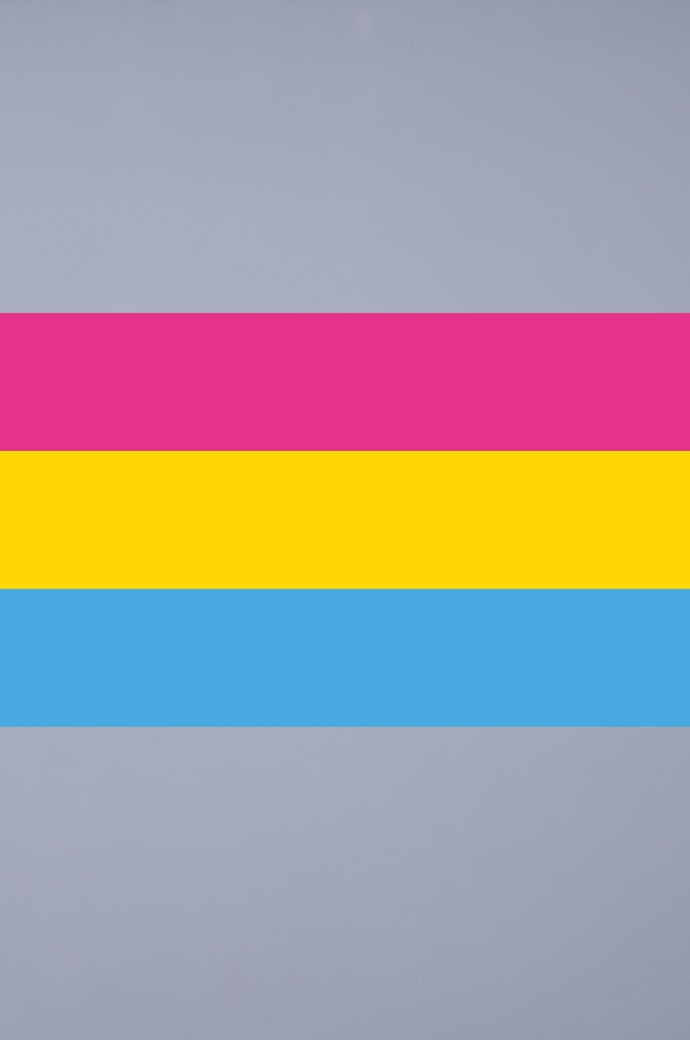Pride Flag - Pansexual - 90 x 150 cm at MR. Riegillio