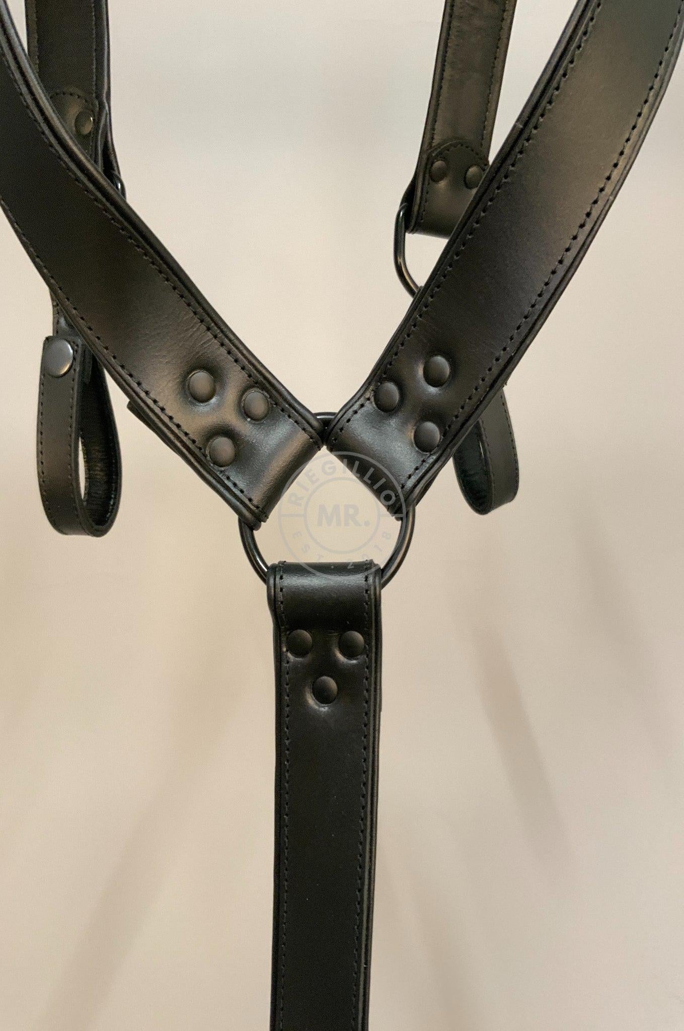 #153 Leather Belt Suspenders at MR. Riegillio