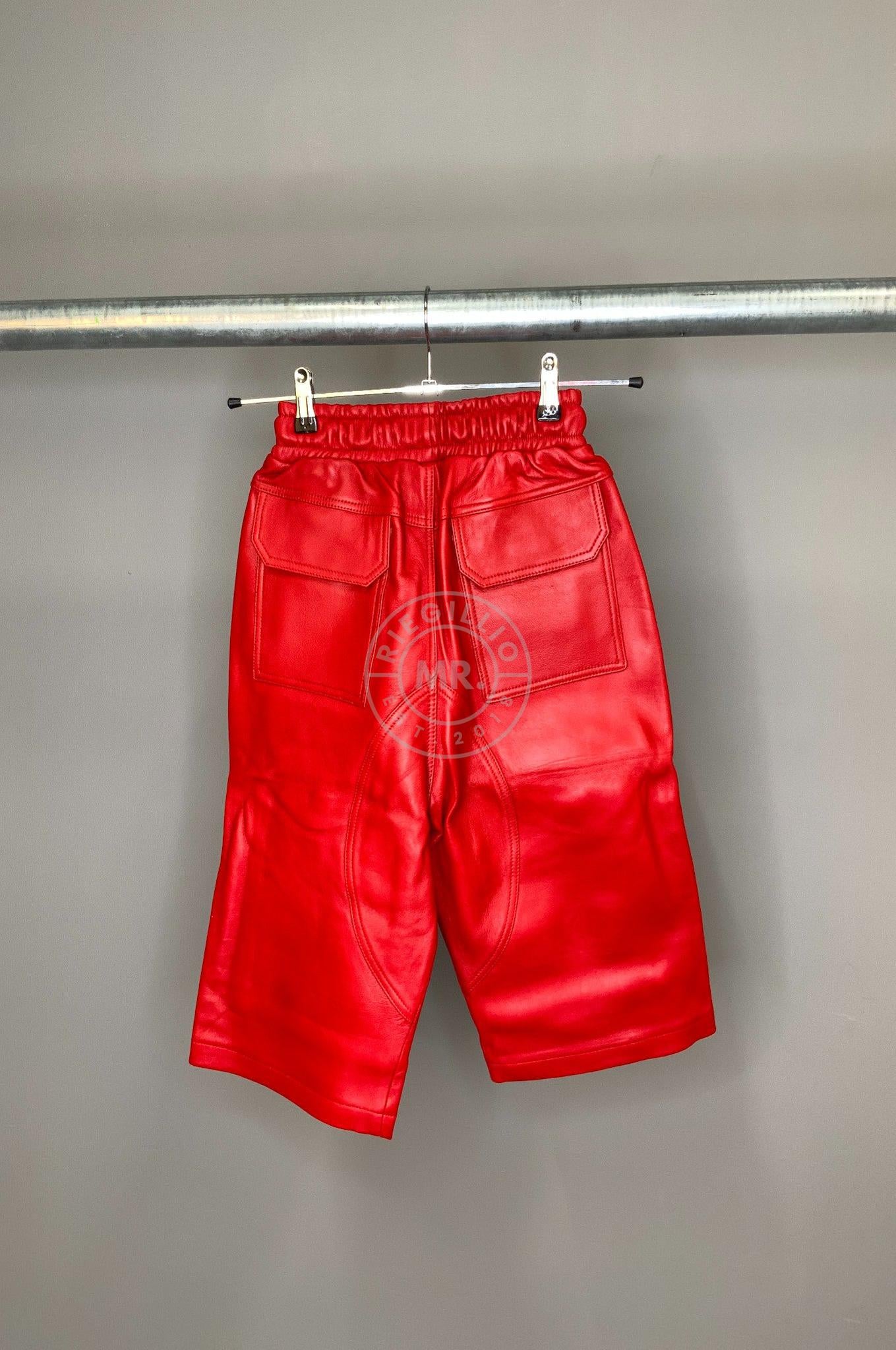 #217 Leather Short at MR. Riegillio