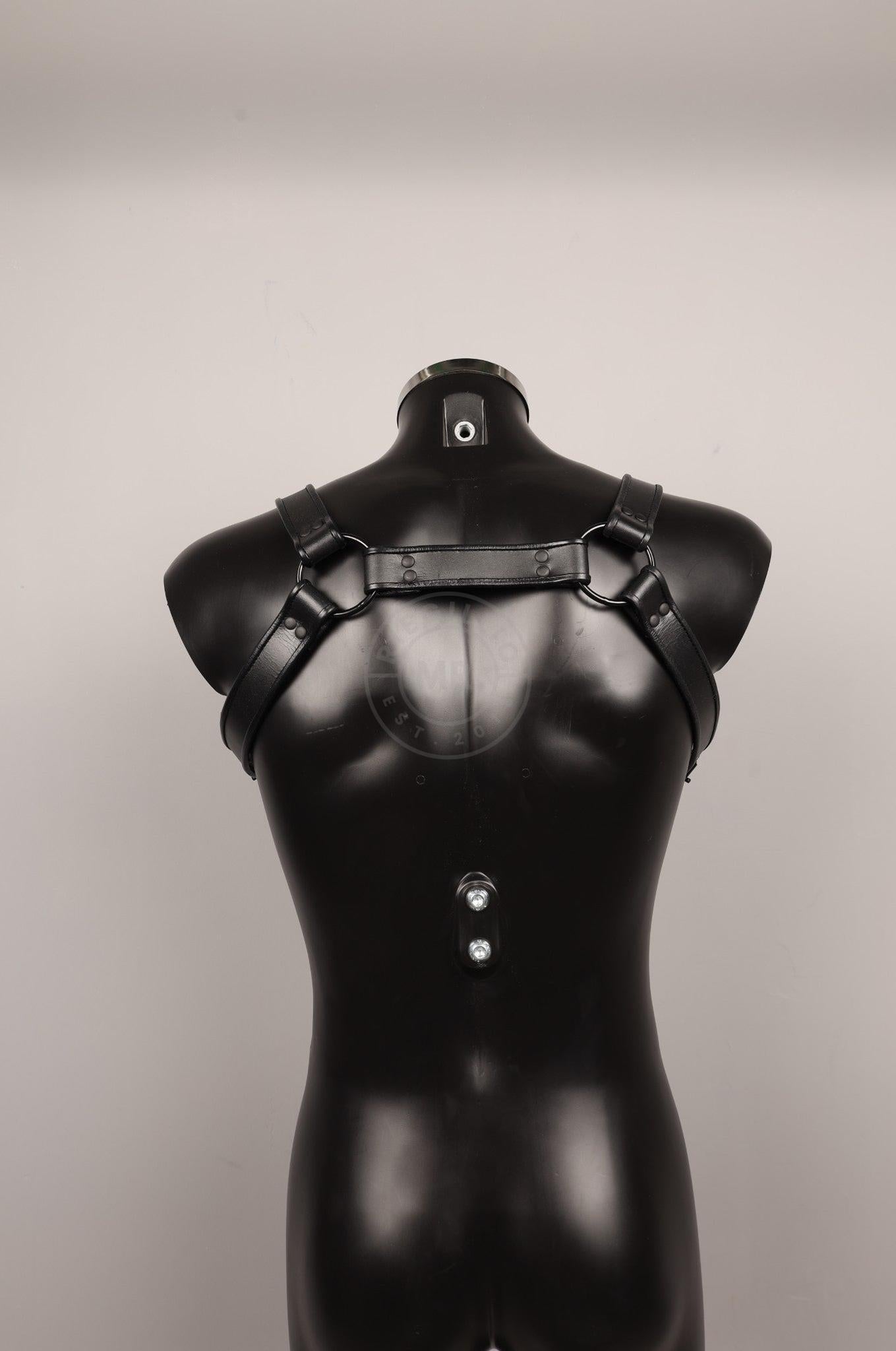 #352 Leather Harness at MR. Riegillio