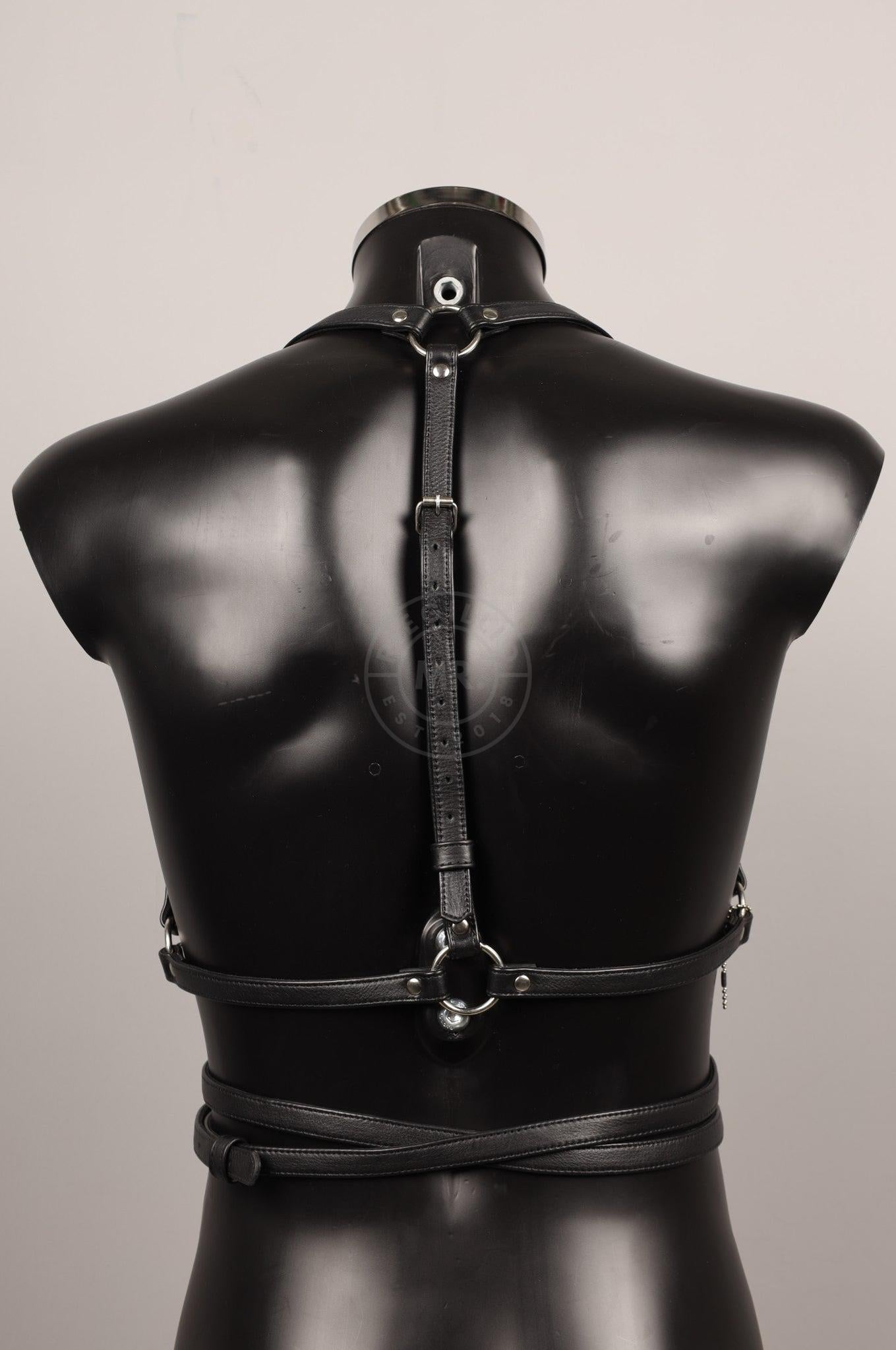 #381 Leather Harness at MR. Riegillio