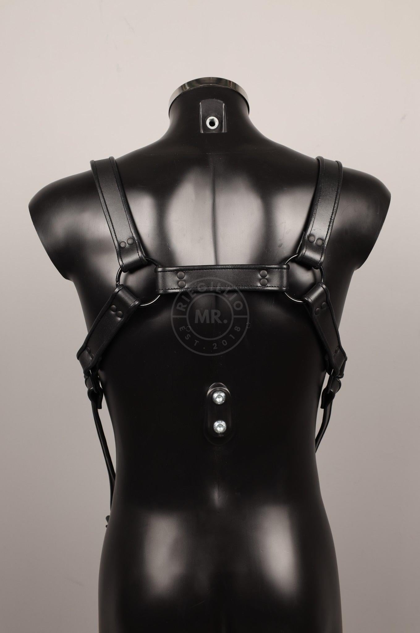 #389 Leather Harness at MR. Riegillio