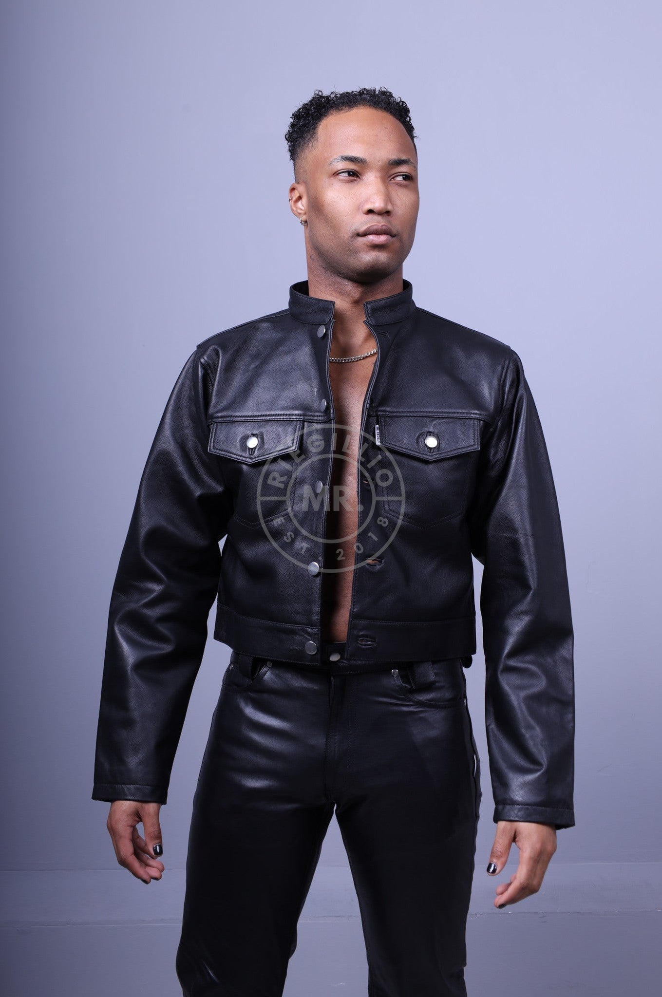 Black Leather Trucker Full Sleeve Cropped Jacket