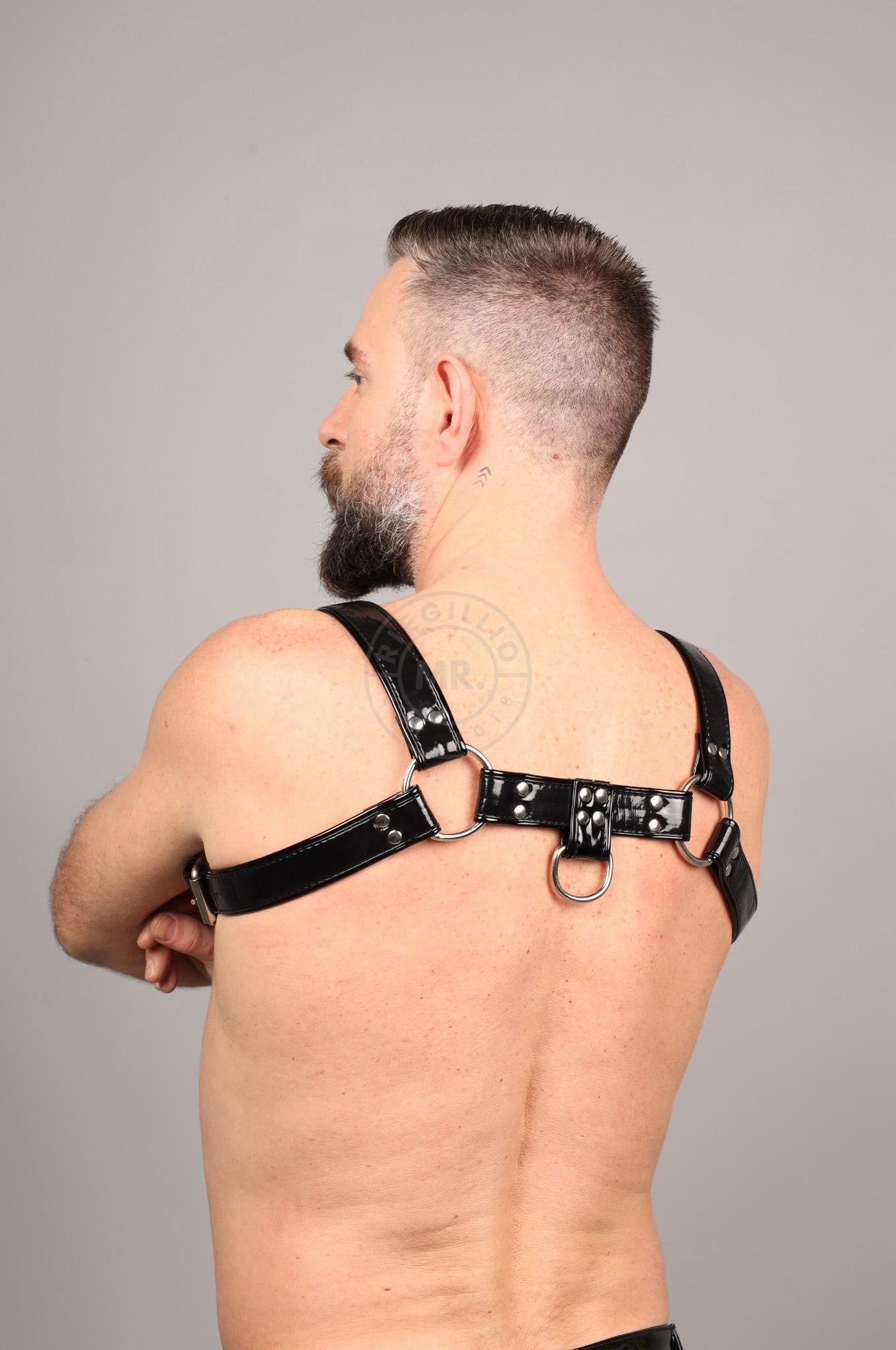 PVC Harness - Full Black at MR. Riegillio