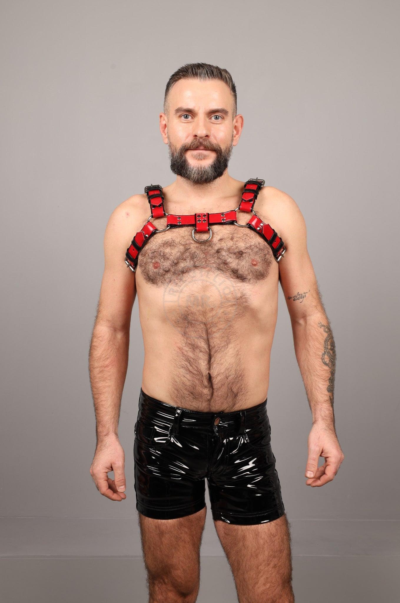 PVC Harness - Red at MR. Riegillio