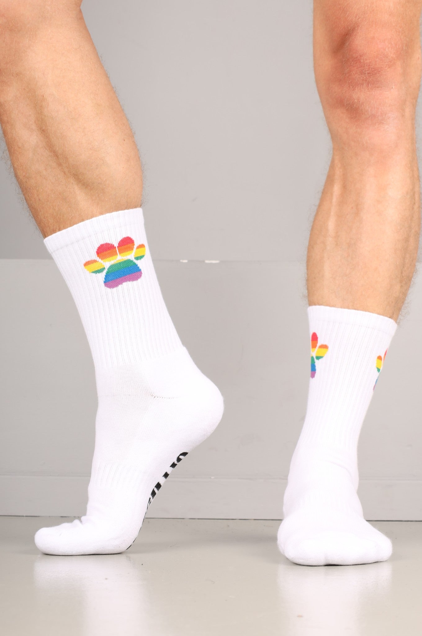 Pride Puppy Socks