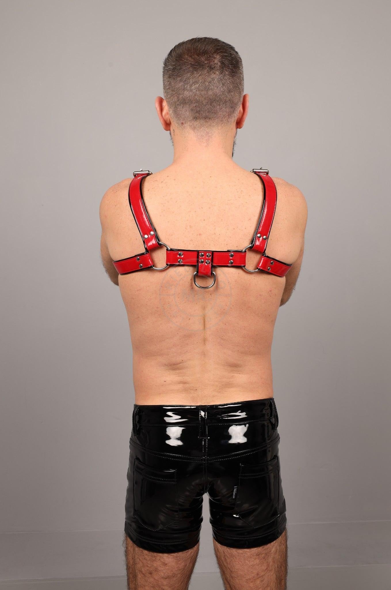PVC Harness - Red at MR. Riegillio