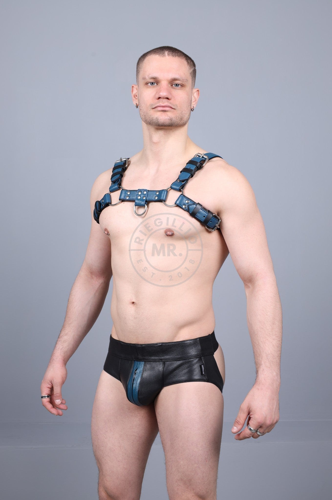 Leather Harness - Jeans Blue at MR. Riegillio