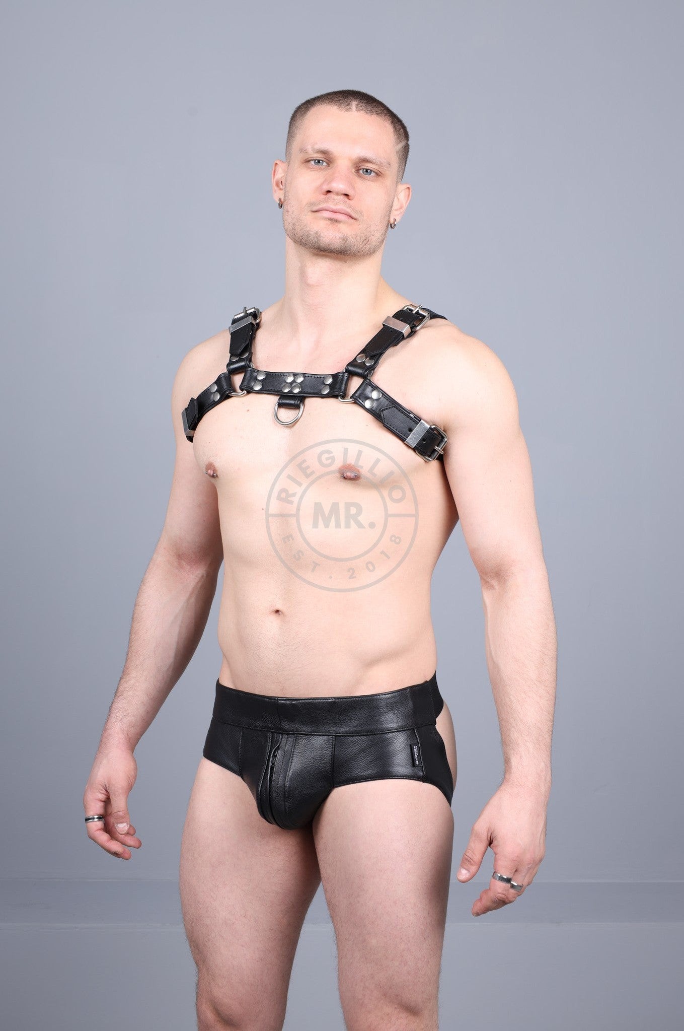 Leather Harness - Black at MR. Riegillio