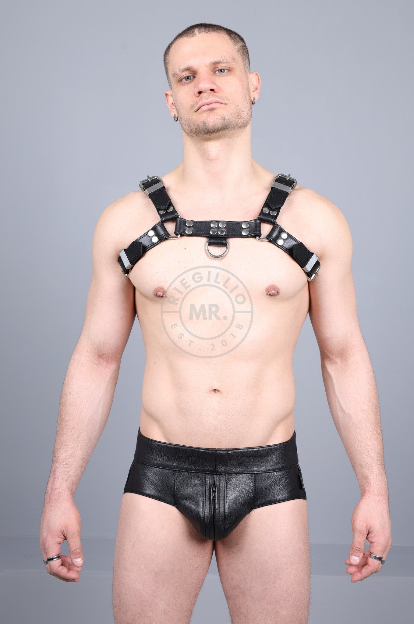 Leather Harness - Black at MR. Riegillio