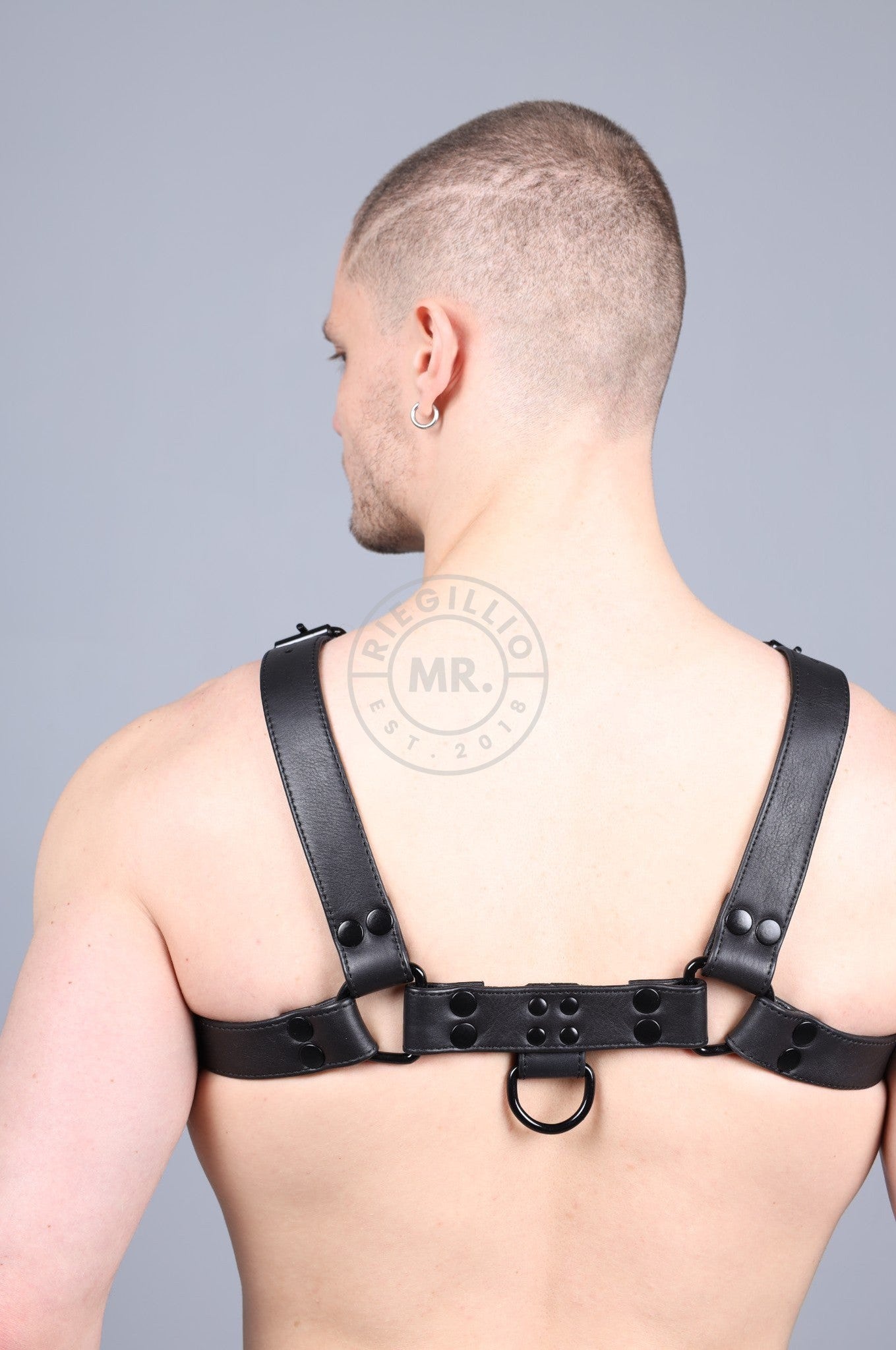 Leather Harness - Full Black at MR. Riegillio