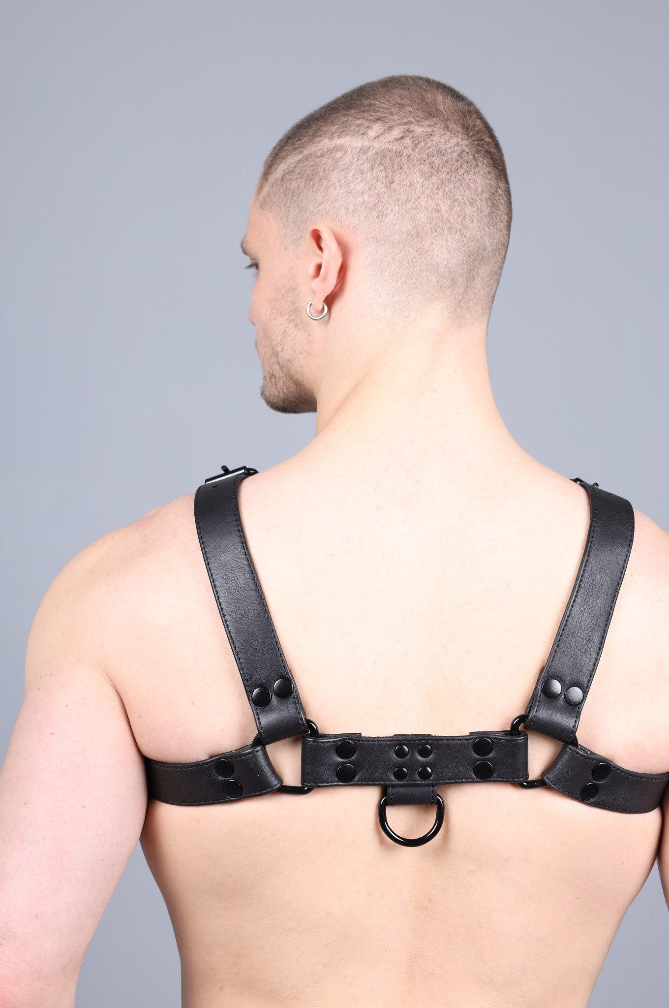 Leather Harness - Full Black at MR. Riegillio