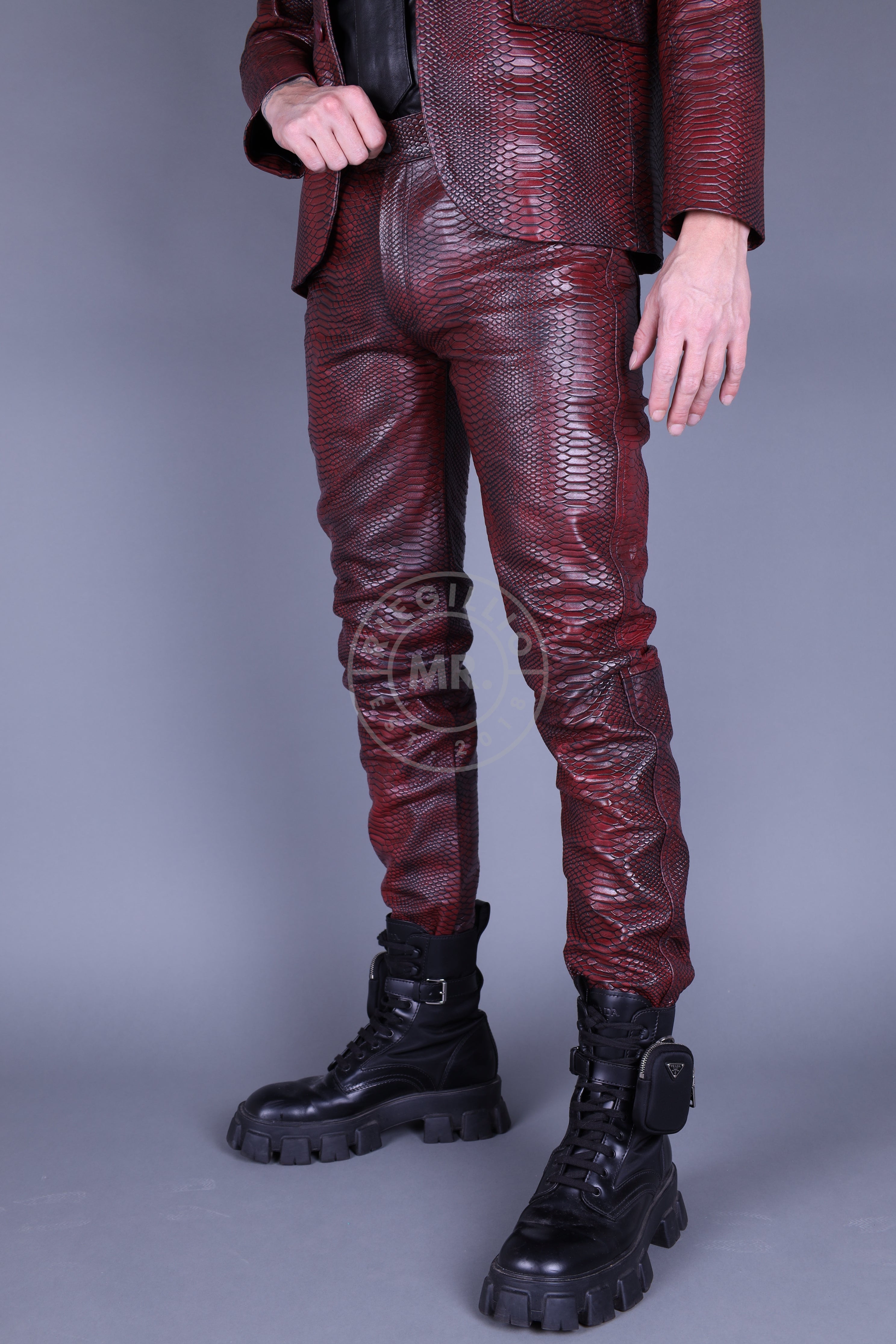 Mehron Leather Snake Pants at MR. Riegillio