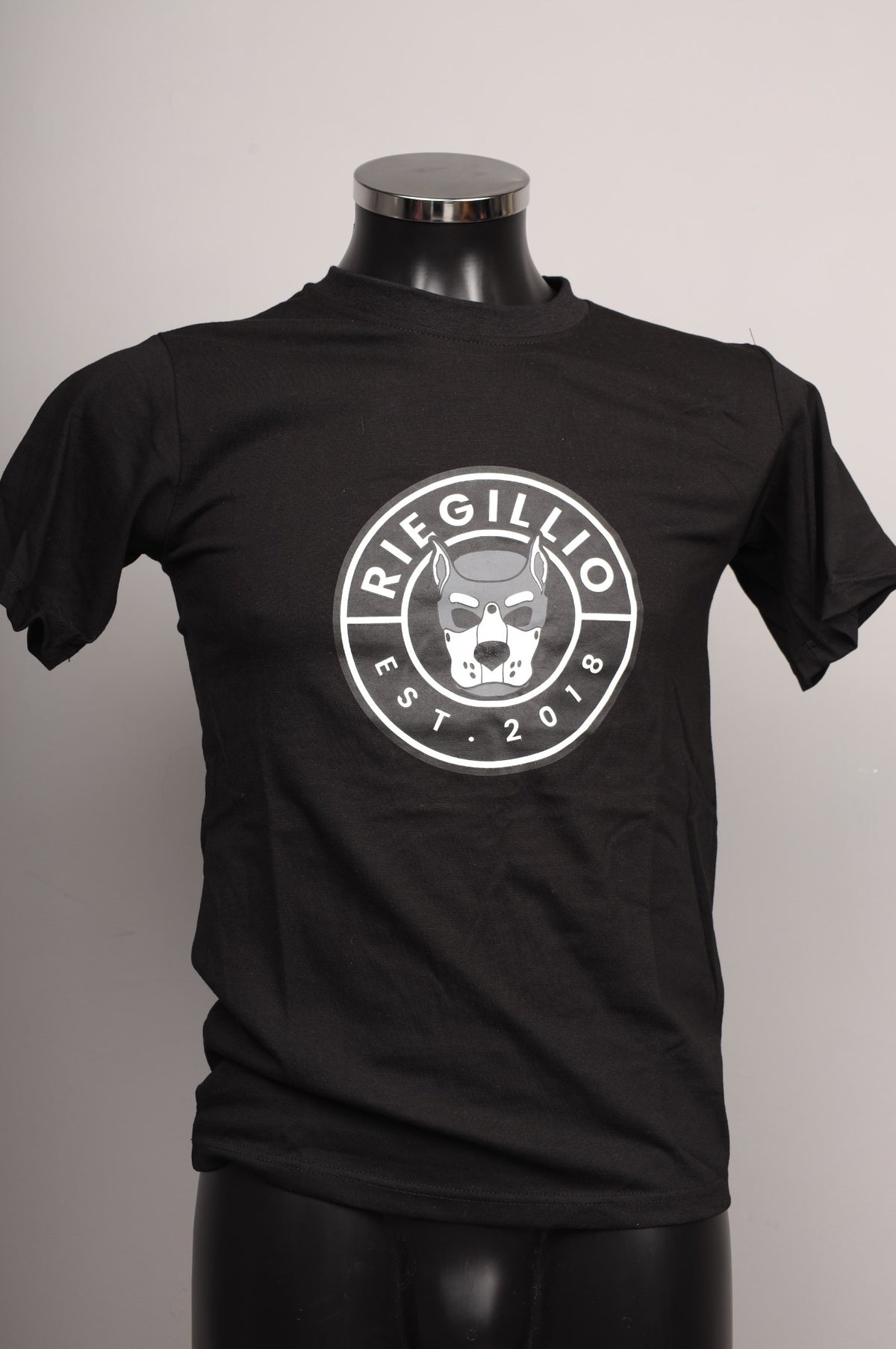 #381 Cotton T-Shirt