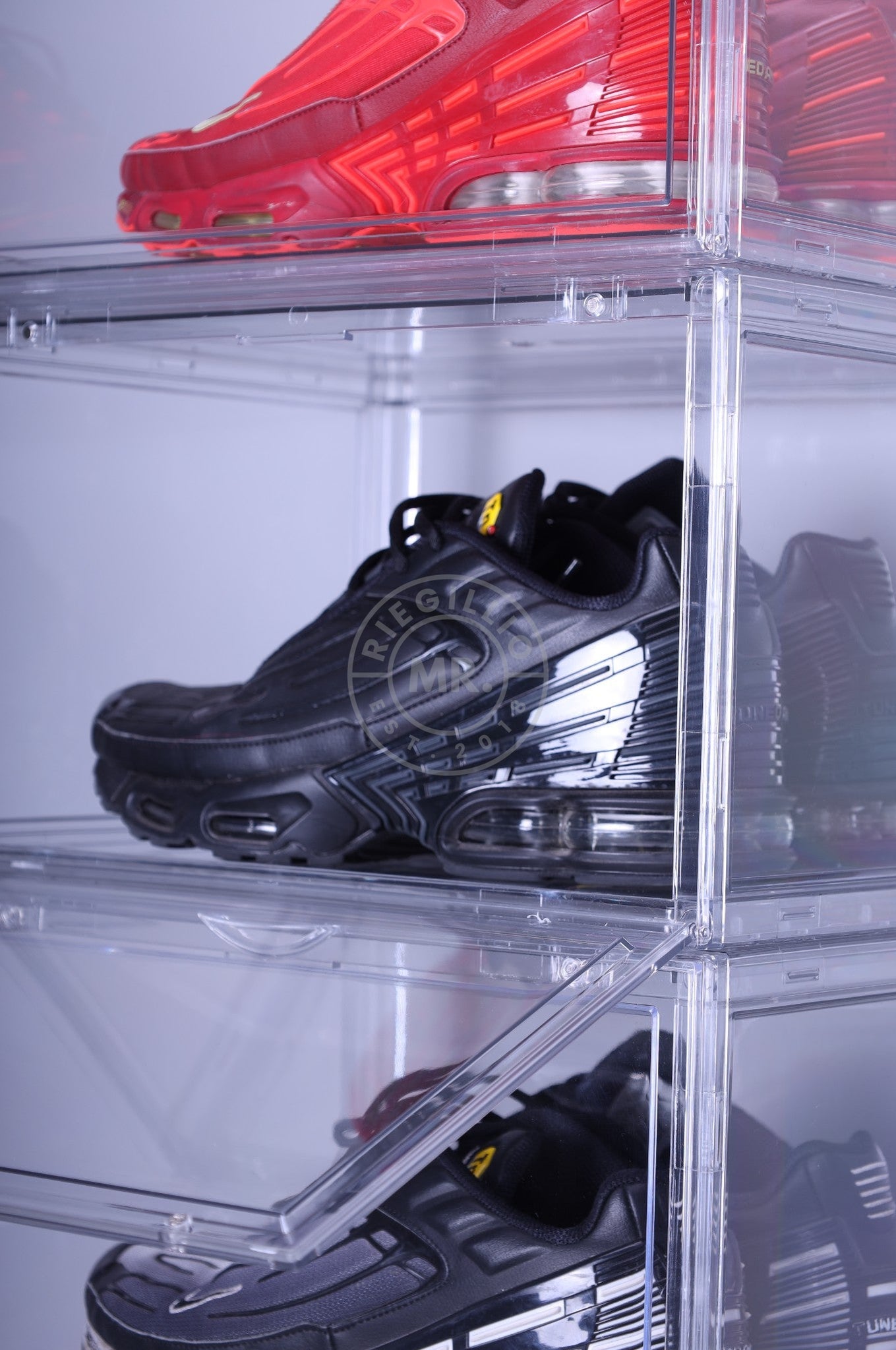 Premium Sneaker Box Transparent at MR. Riegillio