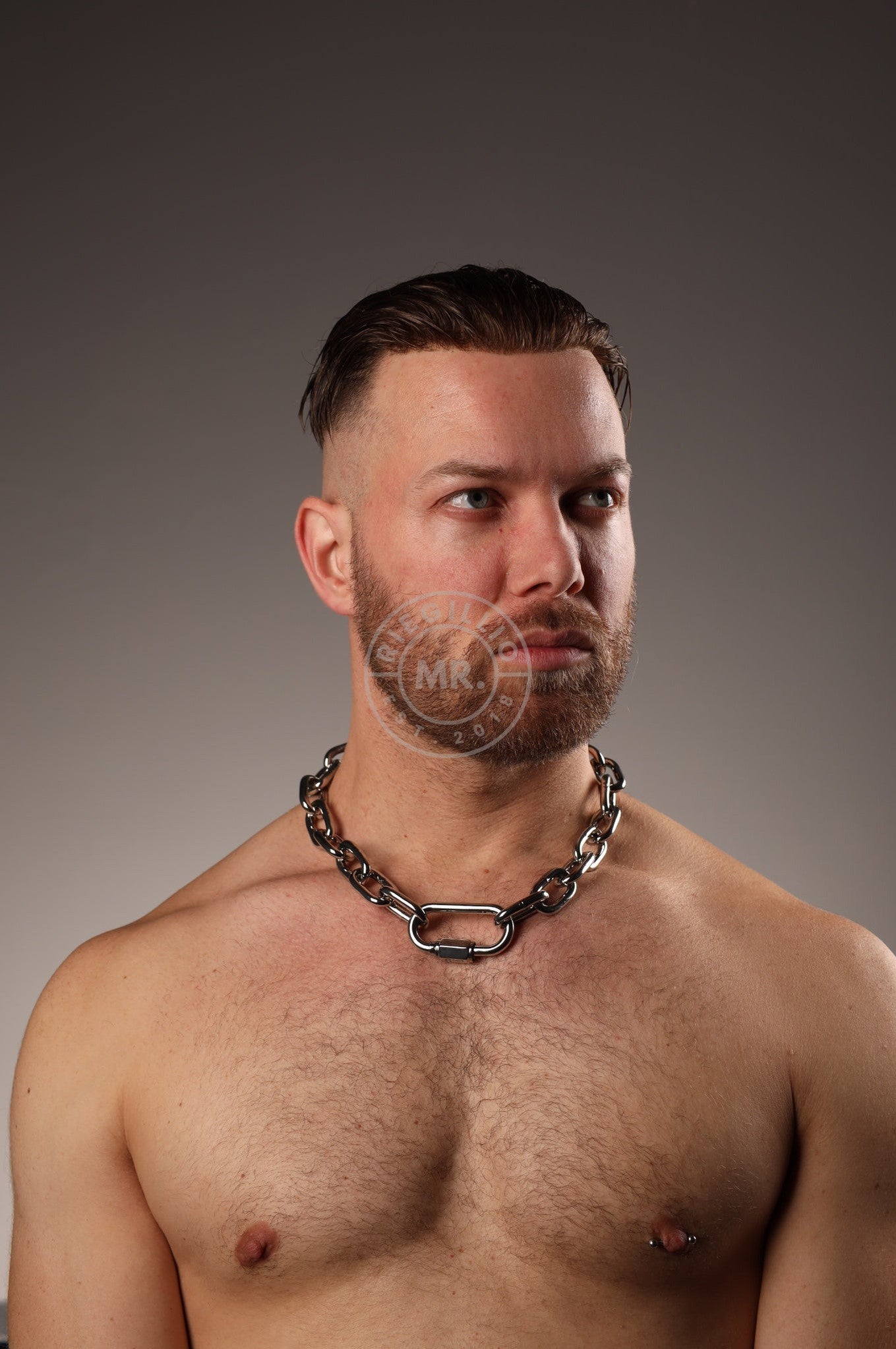 Chain Collar - Silver at MR. Riegillio