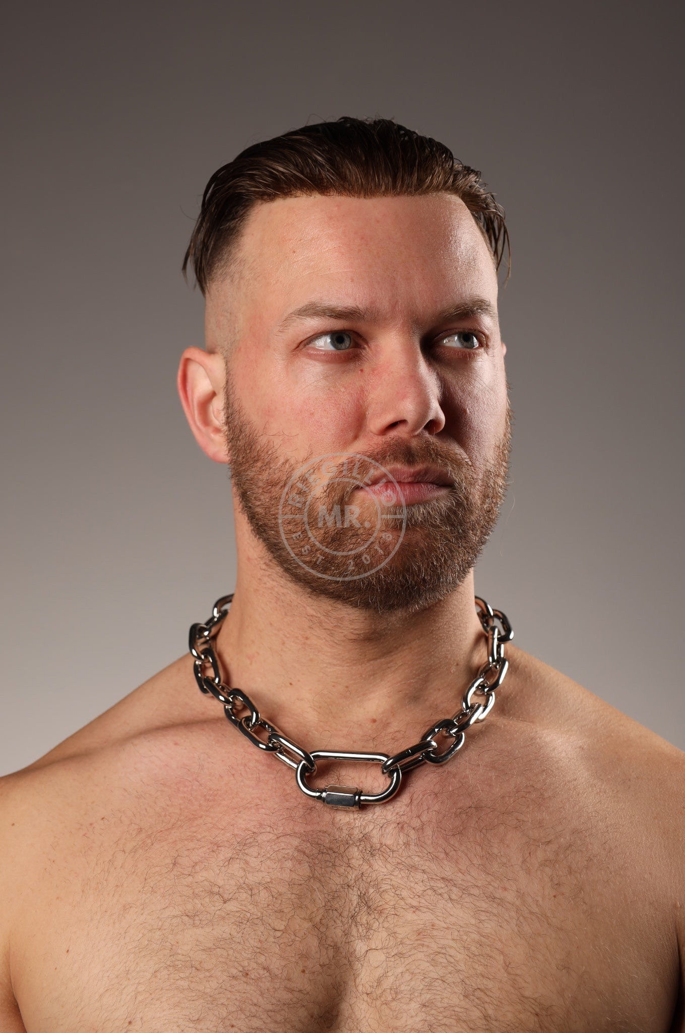 Chain Collar - Silver at MR. Riegillio