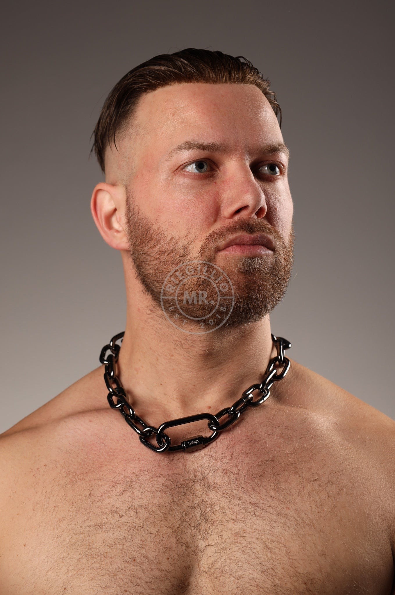 Chain Collar - Black at MR. Riegillio