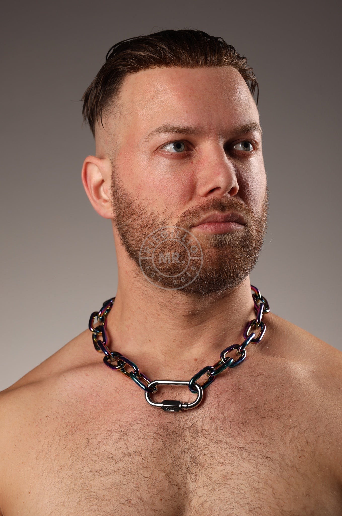 Chain Collar - Rainbow at MR. Riegillio