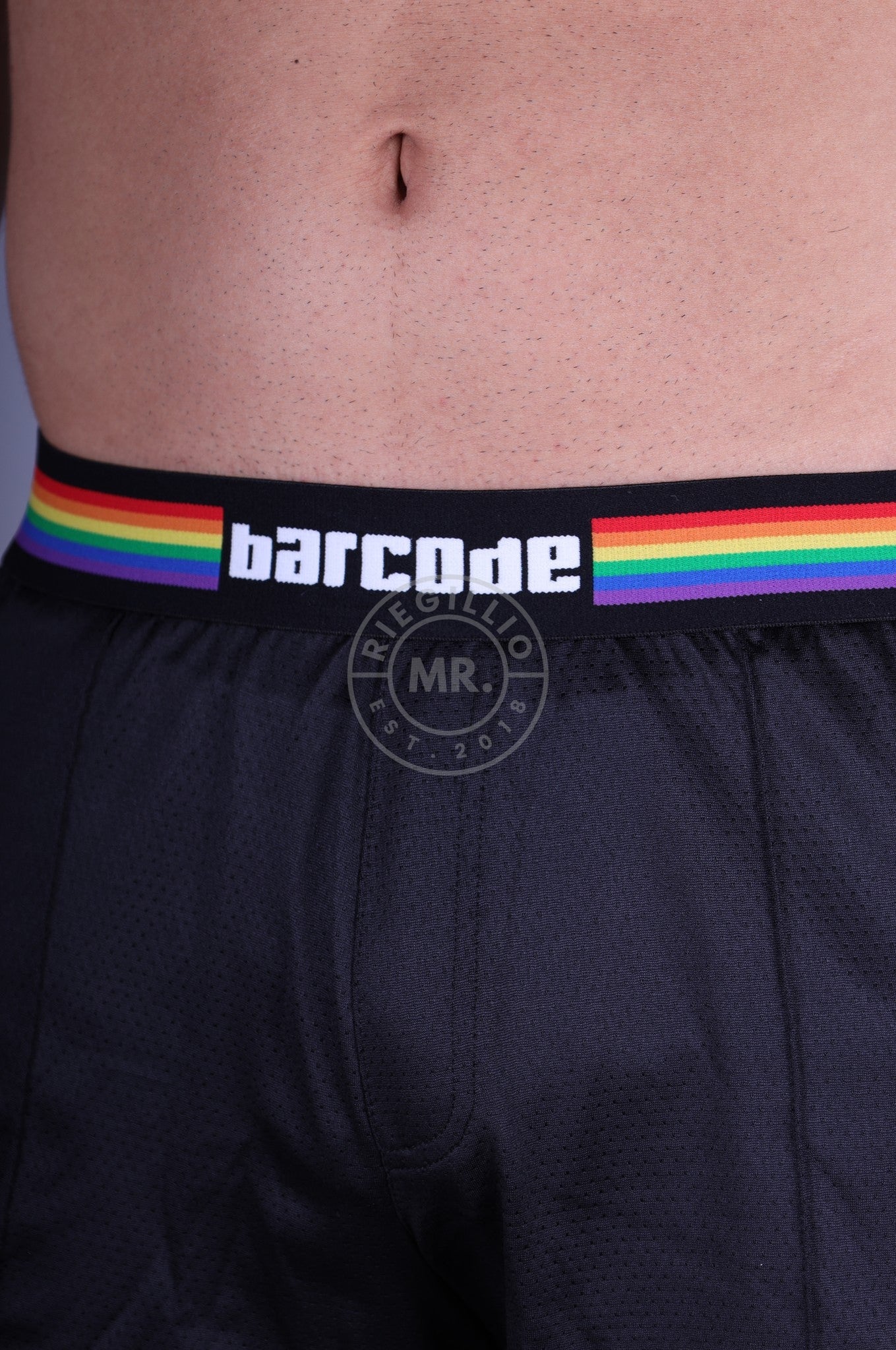Barcode Pride Short - Black at MR. Riegillio