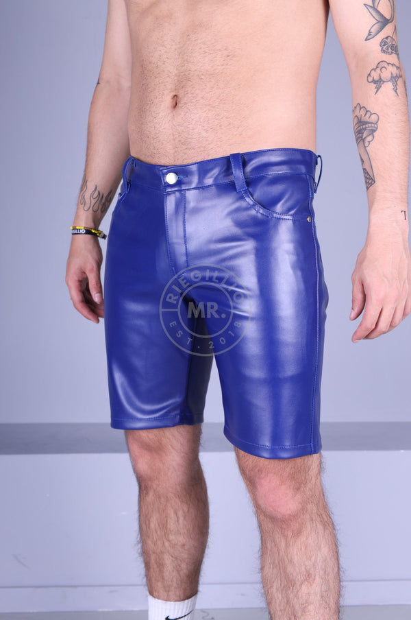 Shop vegan leather shorts in a variety of styles | MR. Riegillio