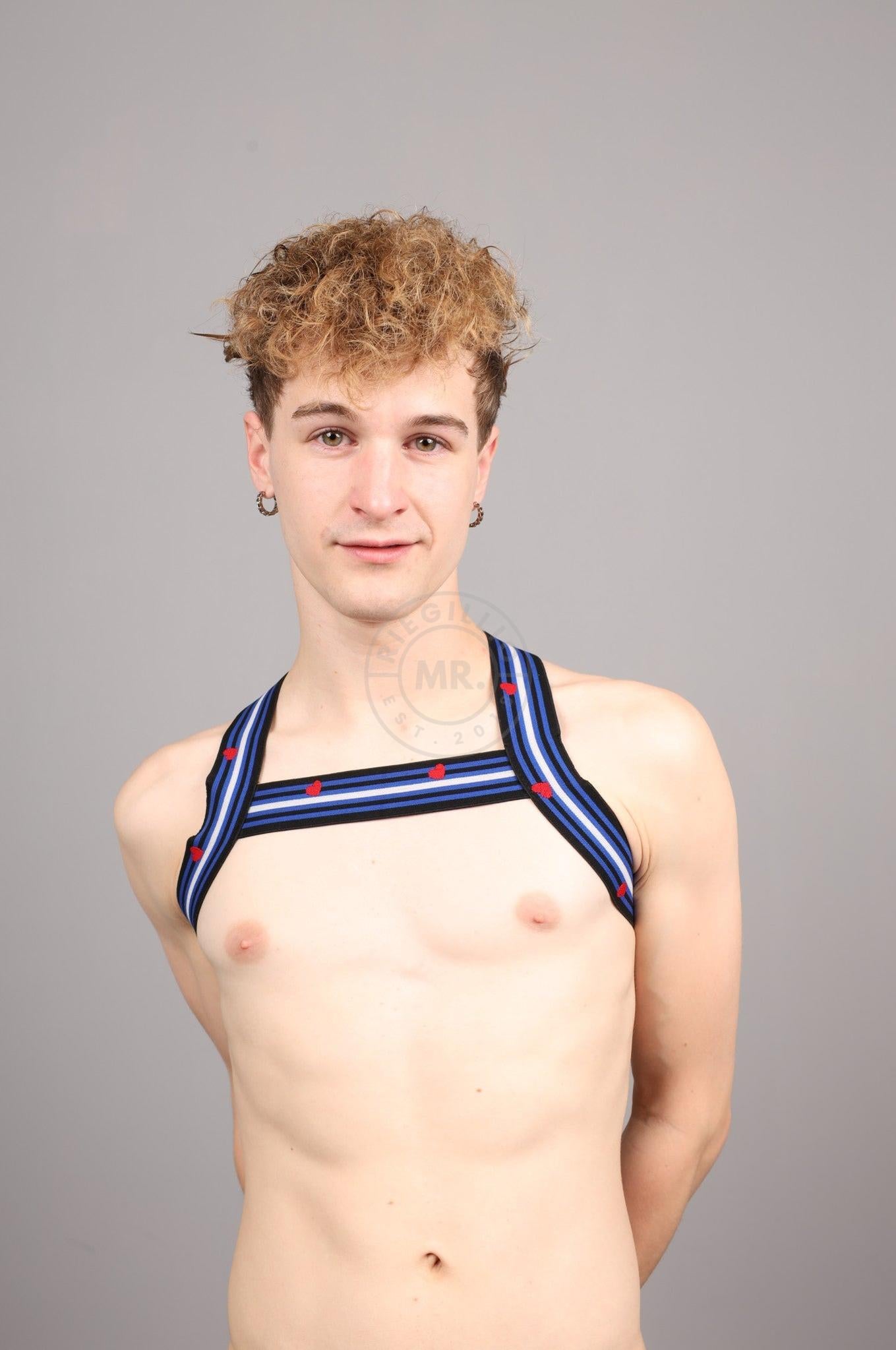 Elastic Harness - LEATHER Flag at MR. Riegillio