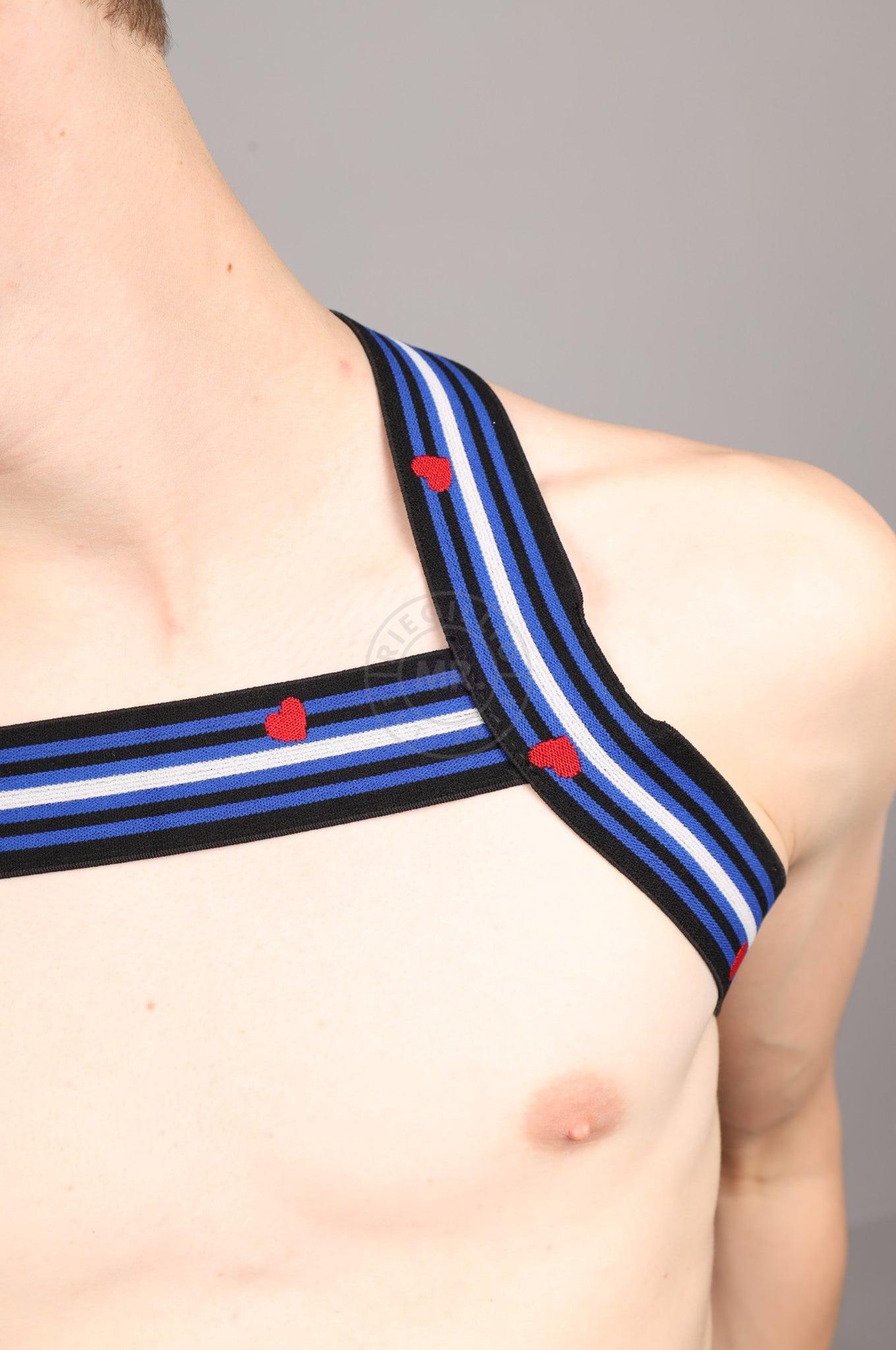 Elastic Harness - LEATHER Flag at MR. Riegillio